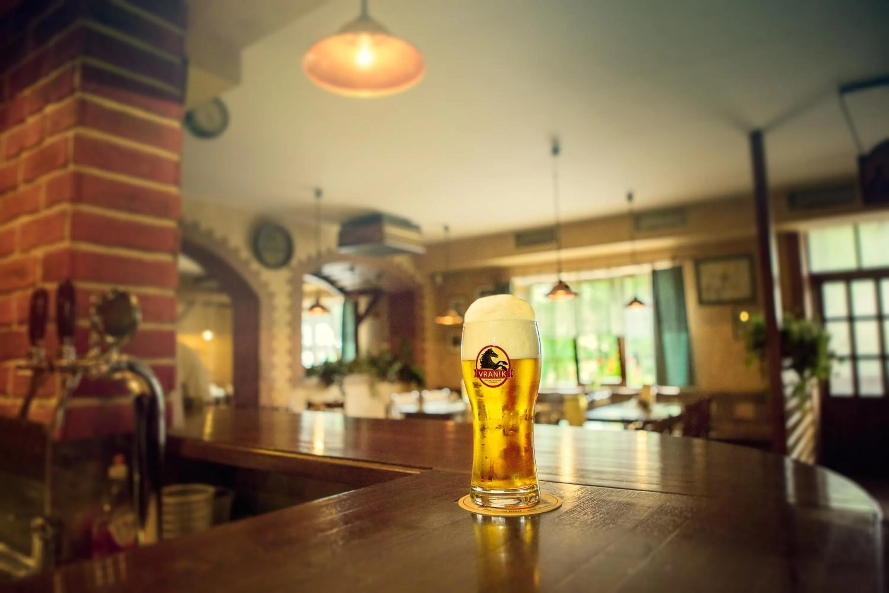 Alcoholic drinks in Penzion Pivovar Vraník