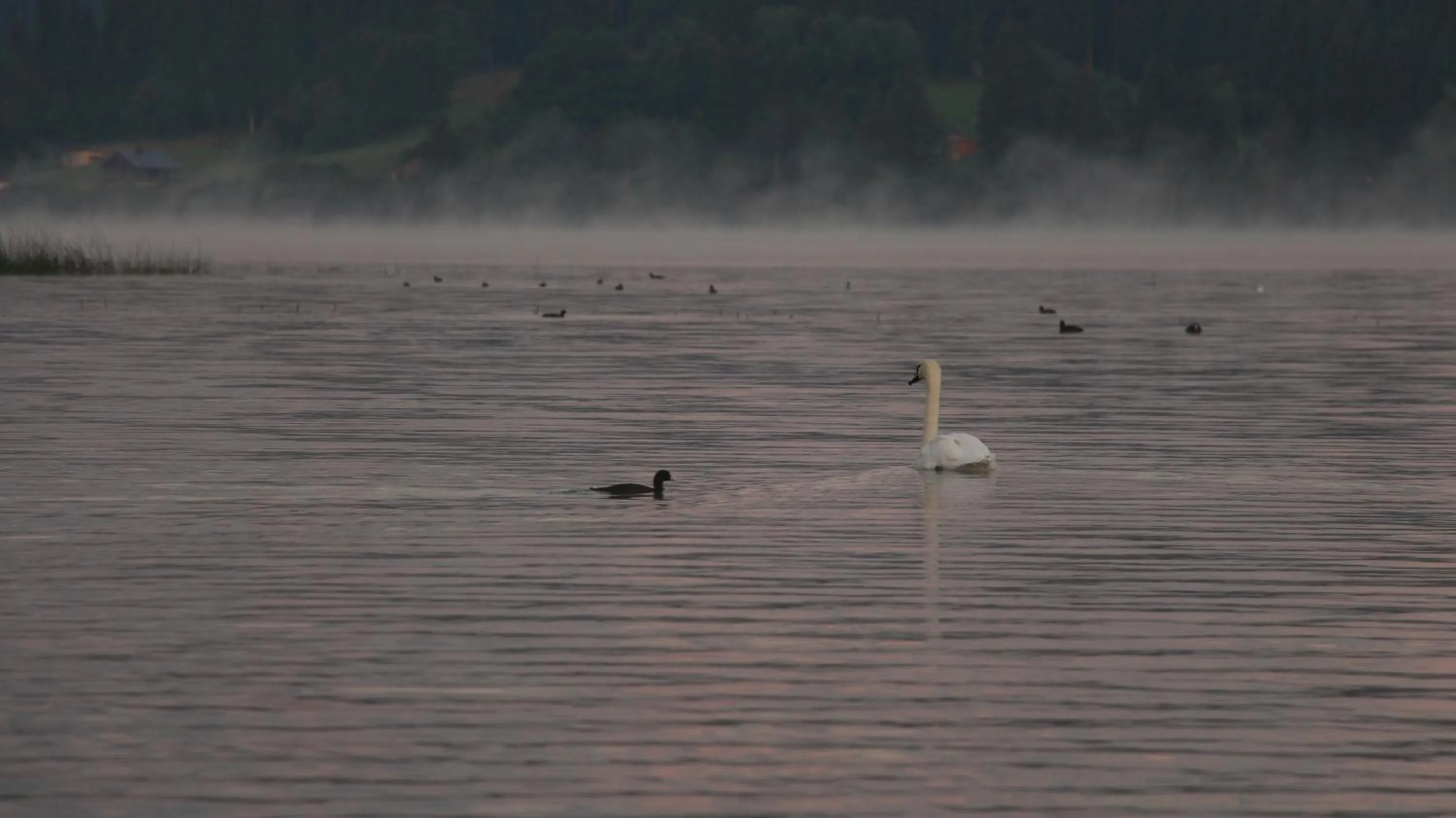 Natural landscape in Hôtel L'Atelier de Donat