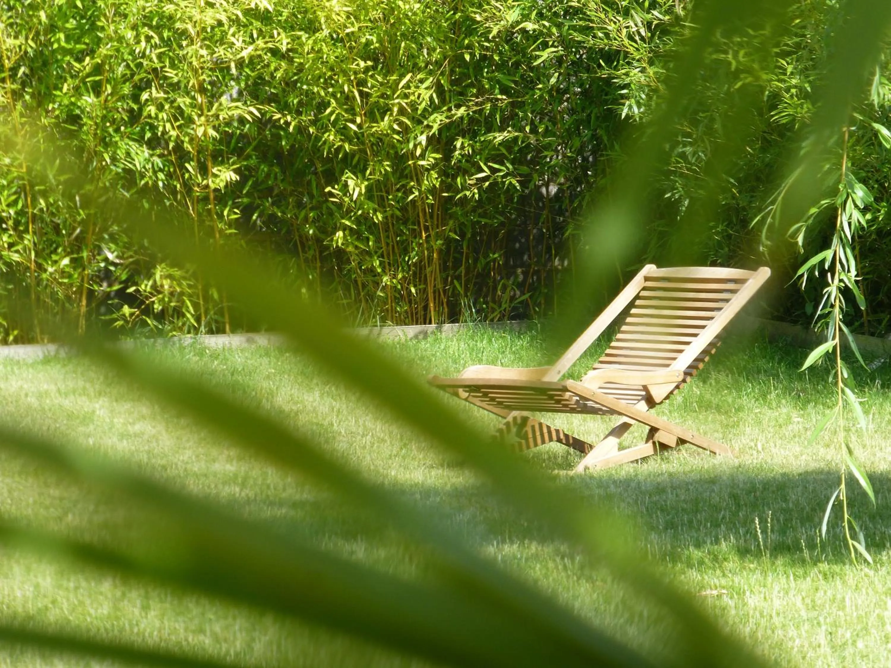 L’Été en Novembre
