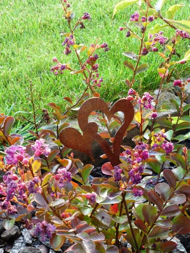 On site in L’Été en Novembre