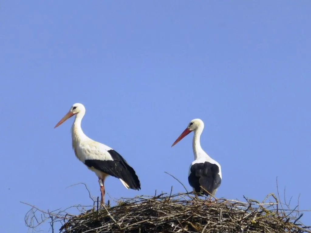 Nearby landmark in L’Été en Novembre