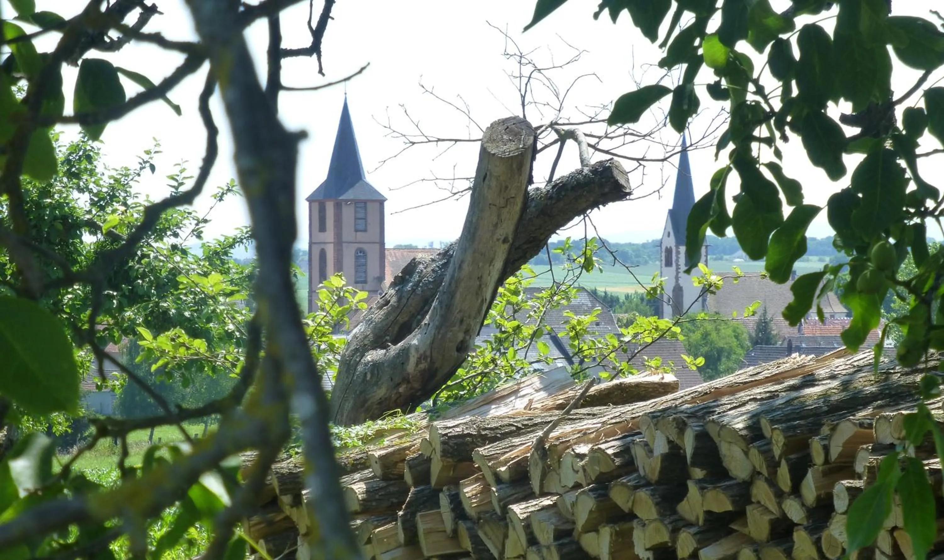 On site in L’Été en Novembre