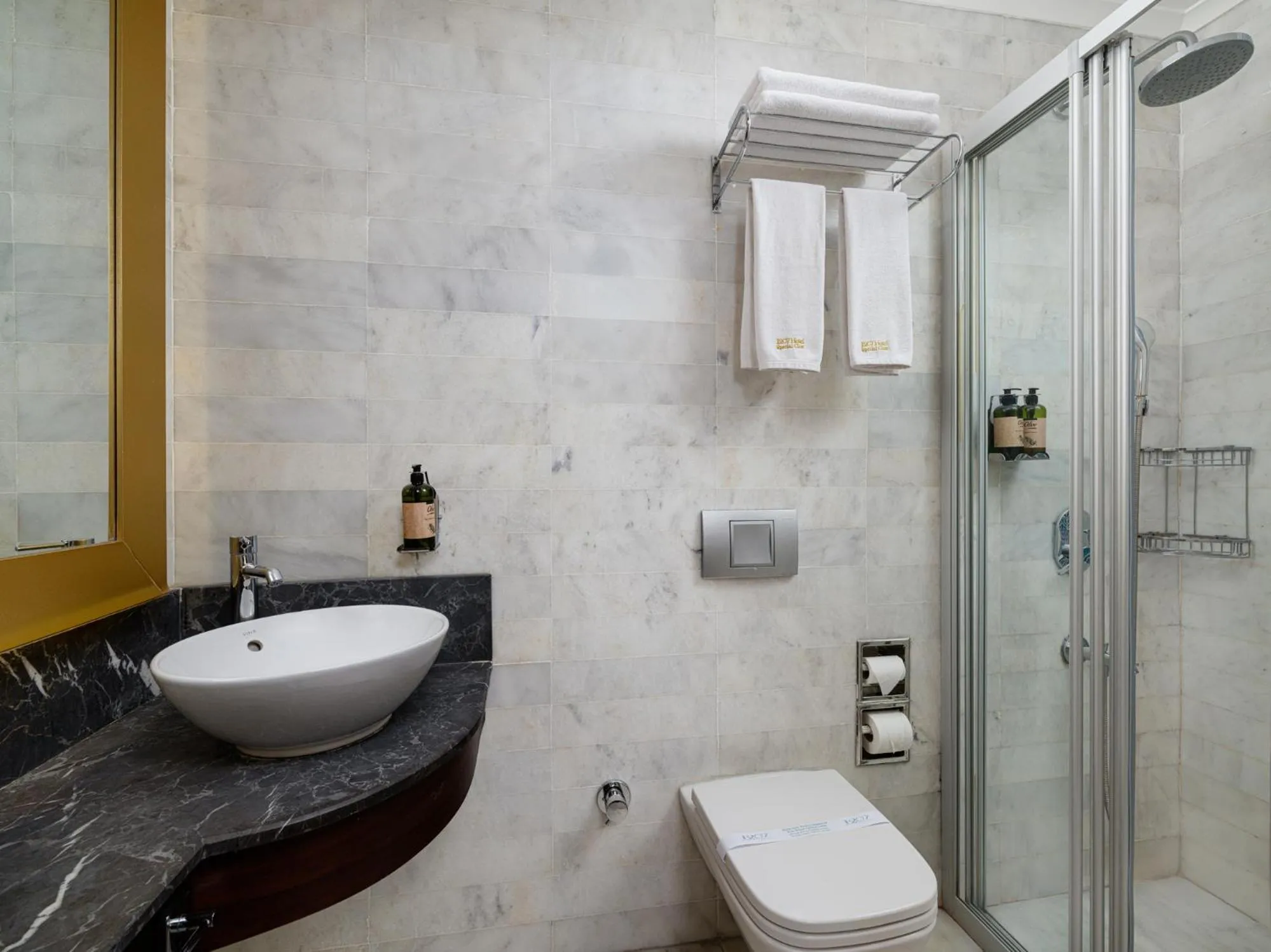 Shower in Hotel 1207 Special Class