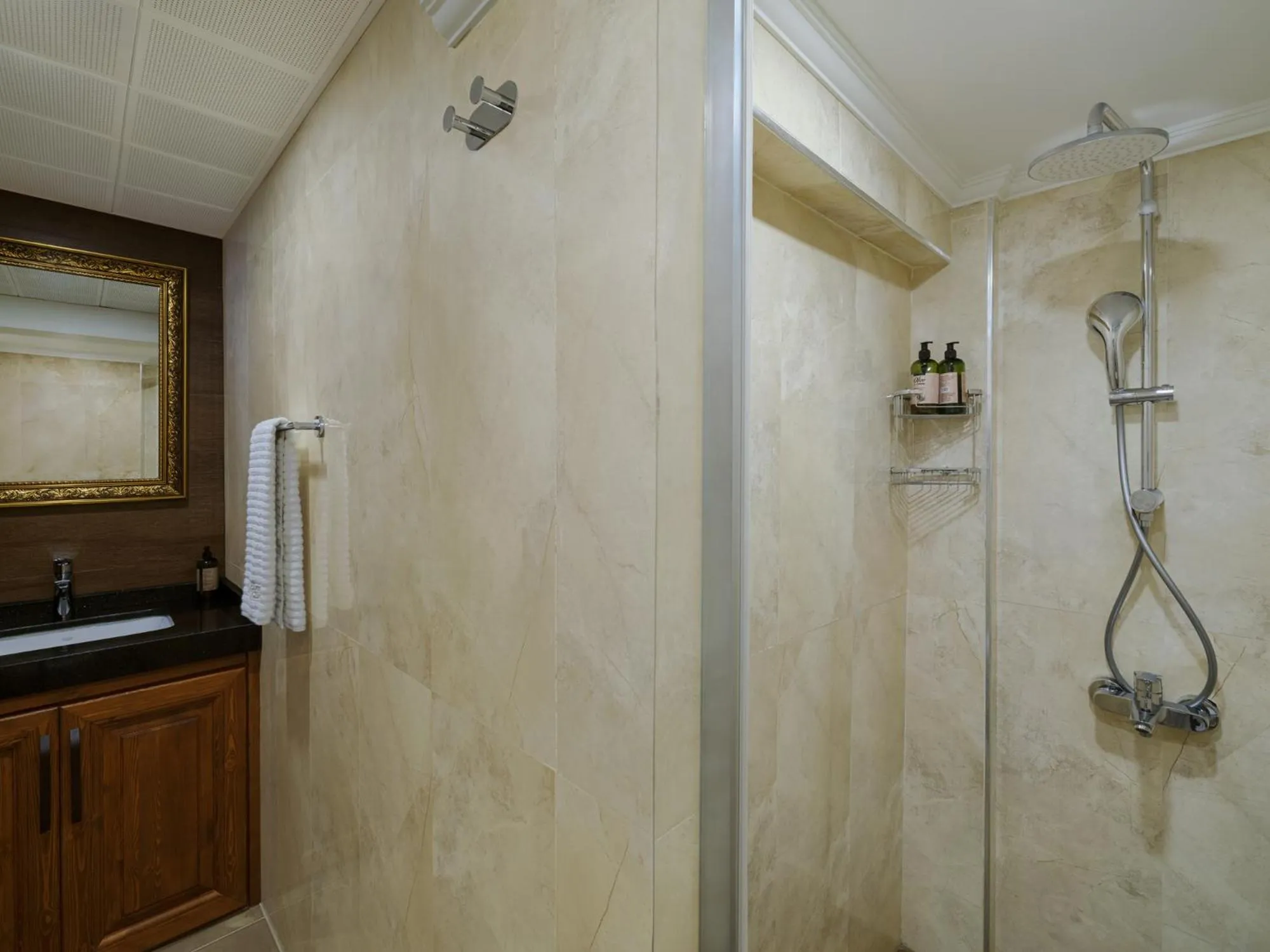 Shower in Hotel 1207 Special Class