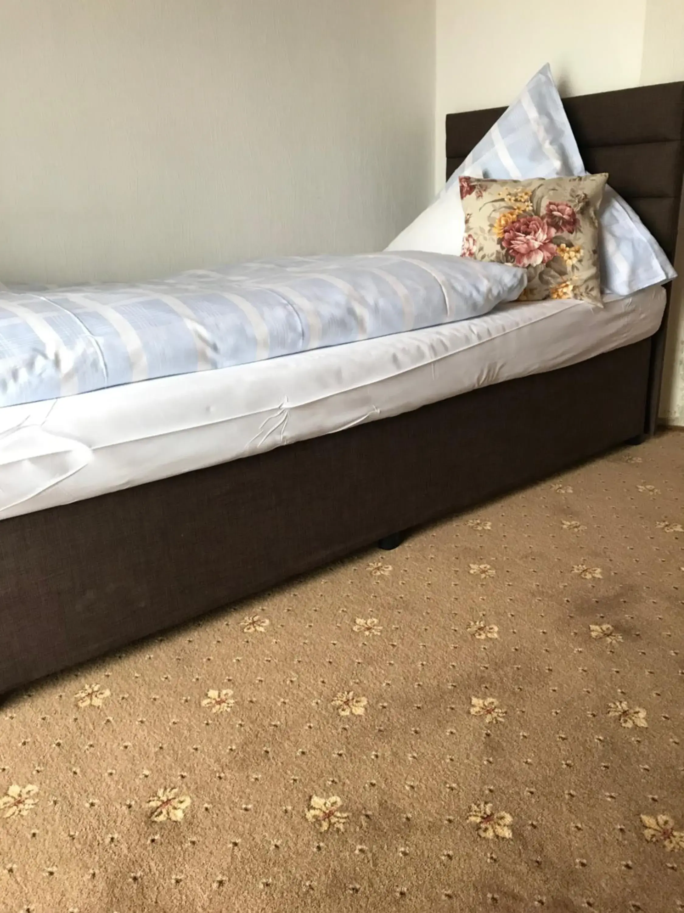 Single Room in Hotel Tannenhof Single Room in Hotel Tannenhof