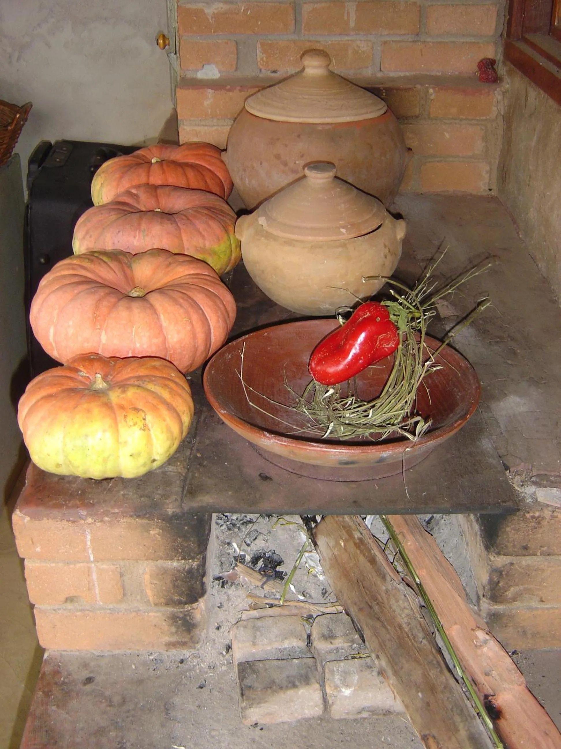 Restaurant/places to eat in Orgânica-Mente B&B