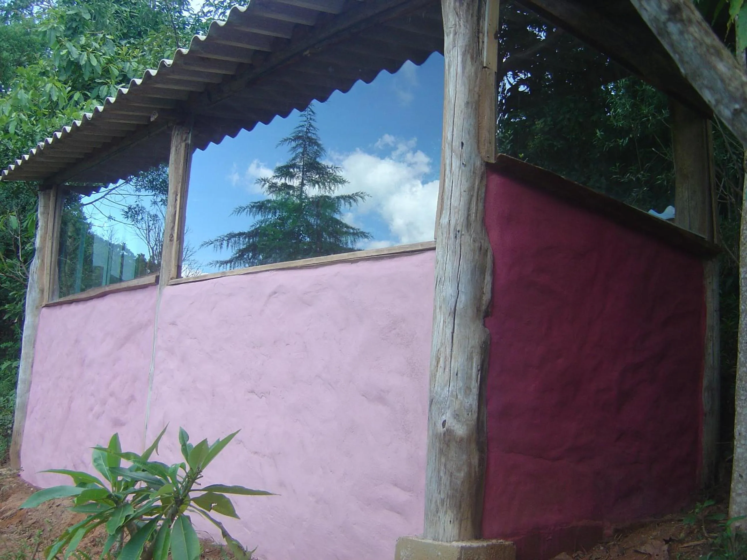 Garden view in Orgânica-Mente B&B