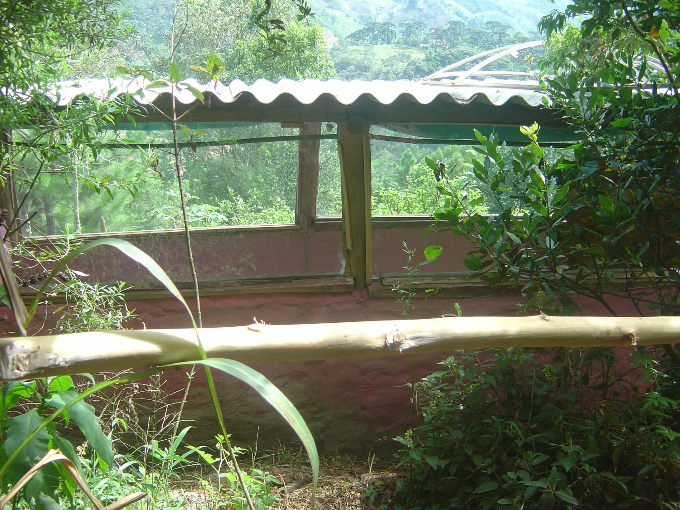 Garden view in Orgânica-Mente B&B
