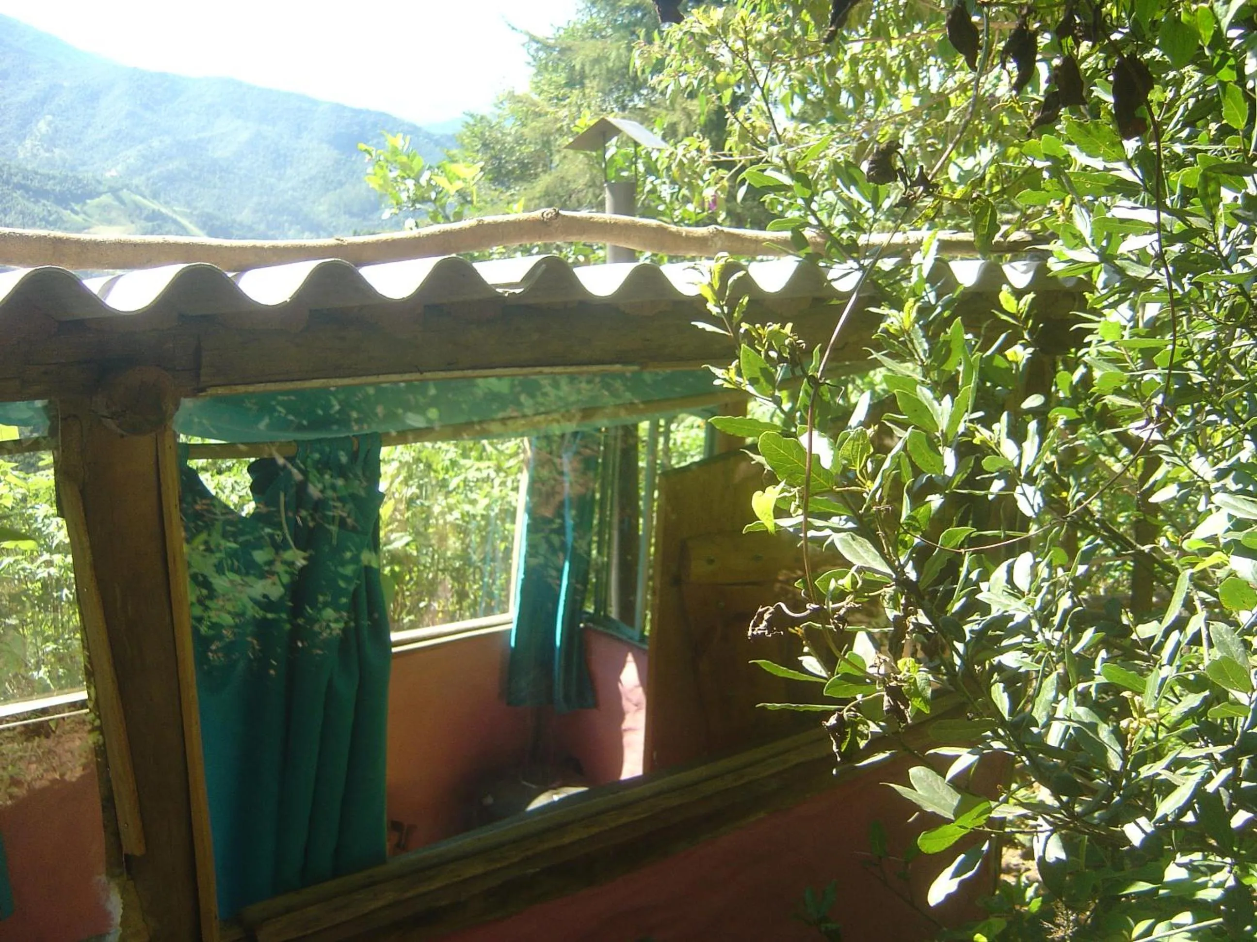 Mountain view in Orgânica-Mente B&B