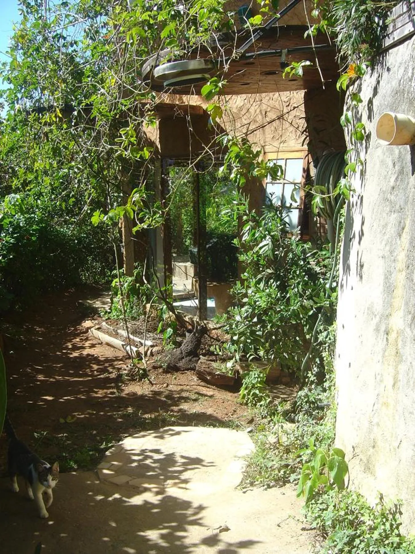 Garden view in Orgânica-Mente B&B