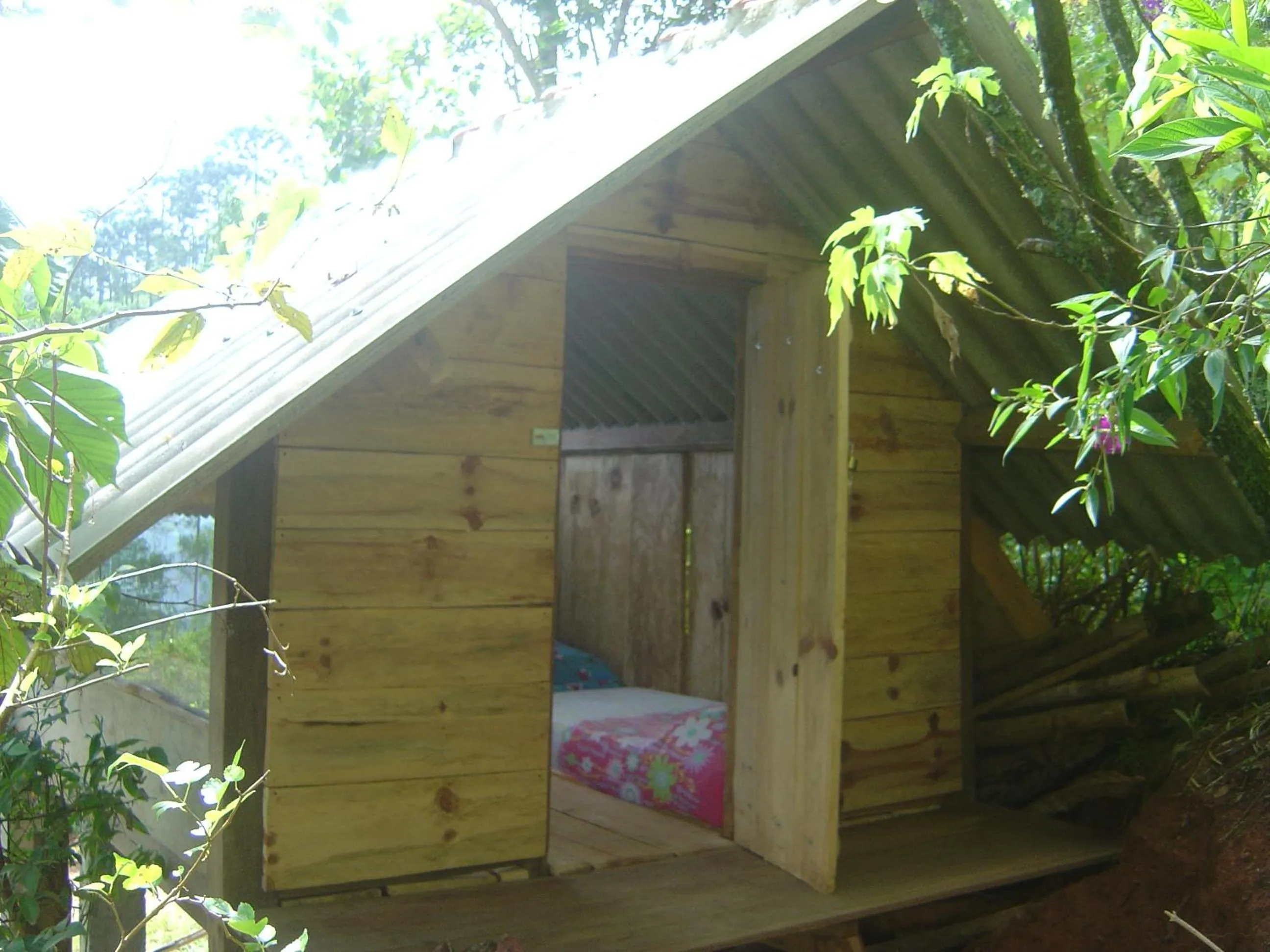 Balcony/Terrace in Orgânica-Mente B&B