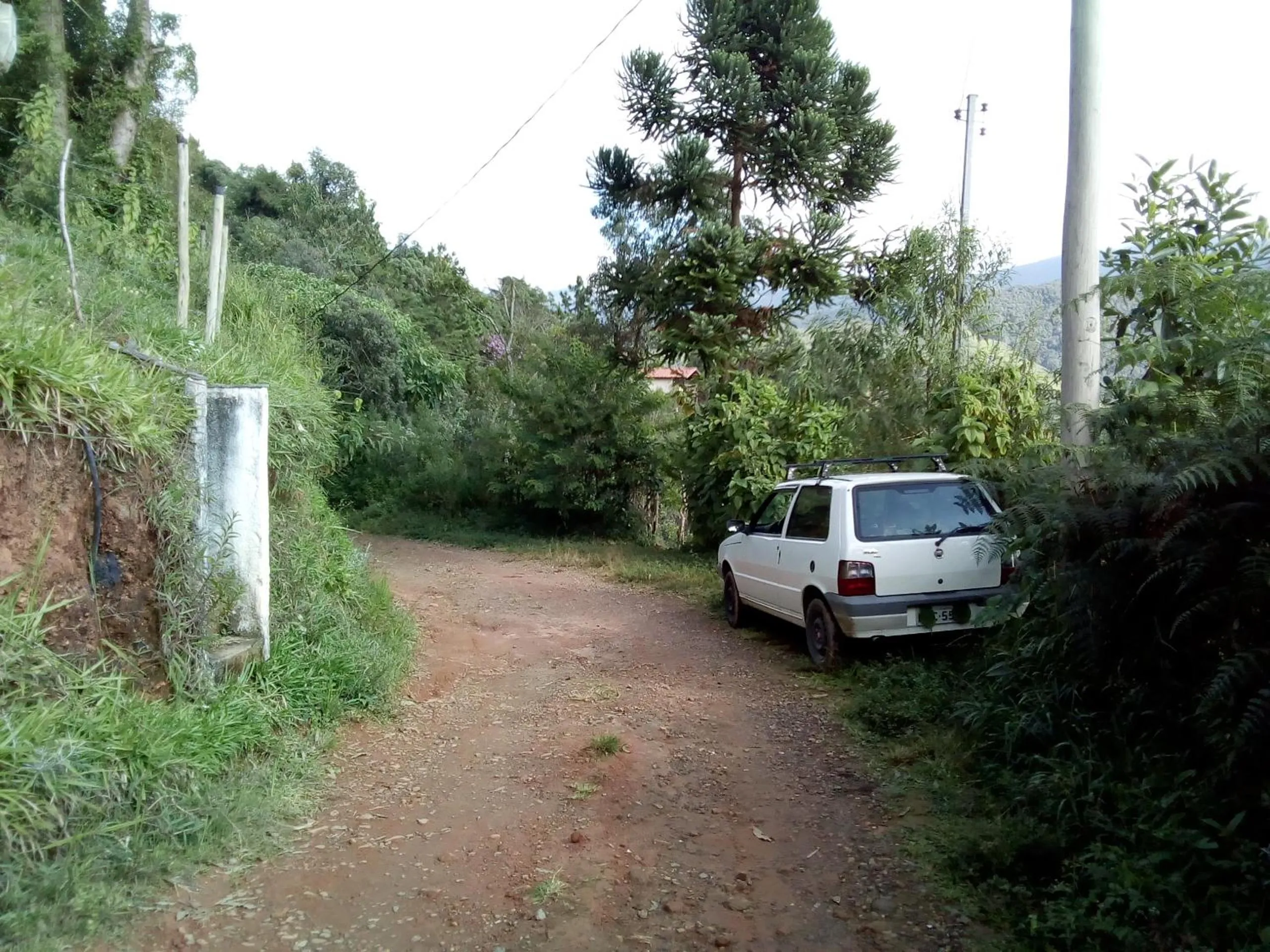 Street view in Orgânica-Mente B&B