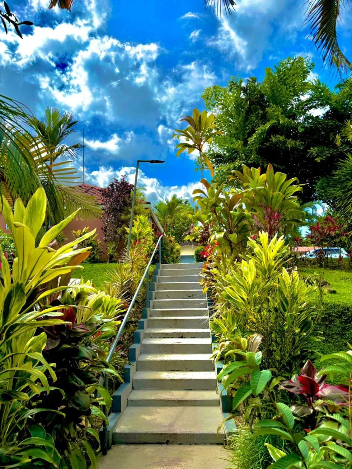 Garden in Loma Real Hot Springs Bed & Breakfast