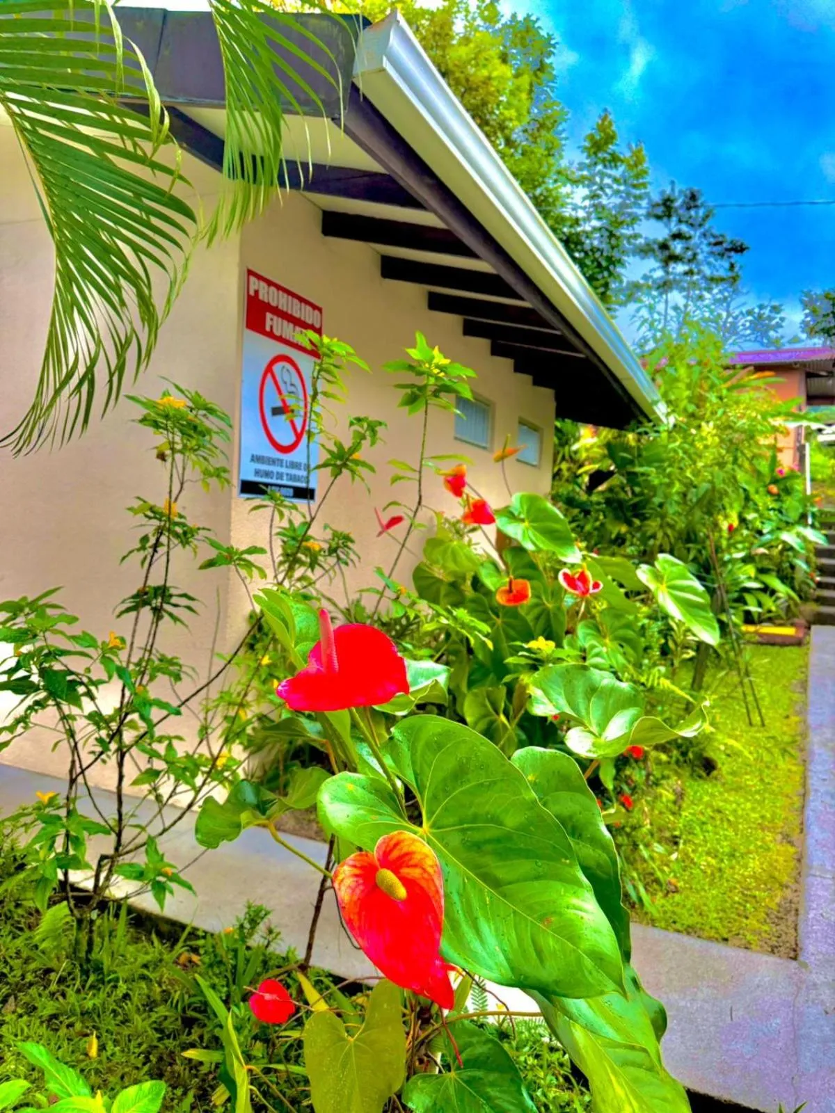 Loma Real Hot Springs Bed & Breakfast