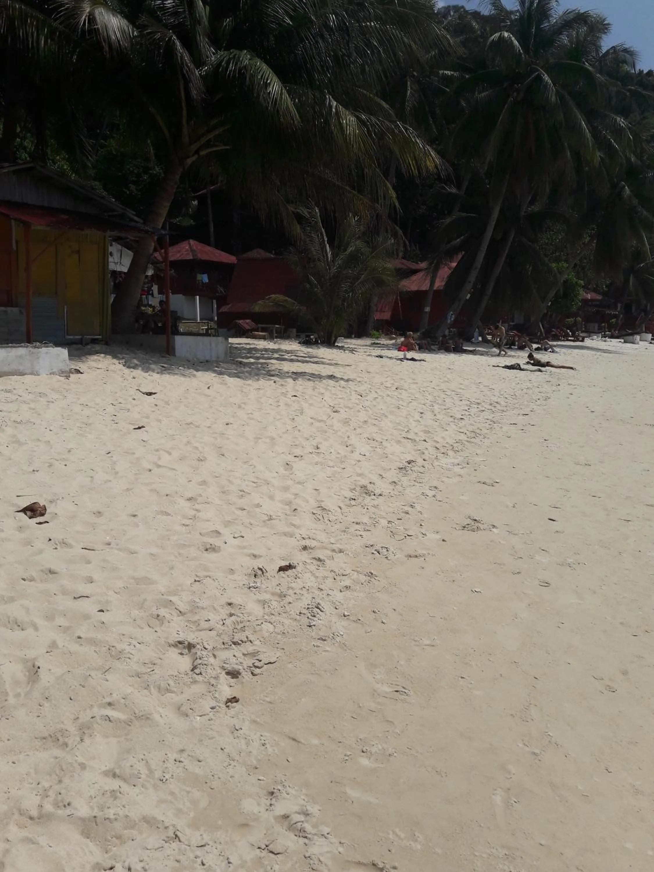 Beach in Senja Bay Resort