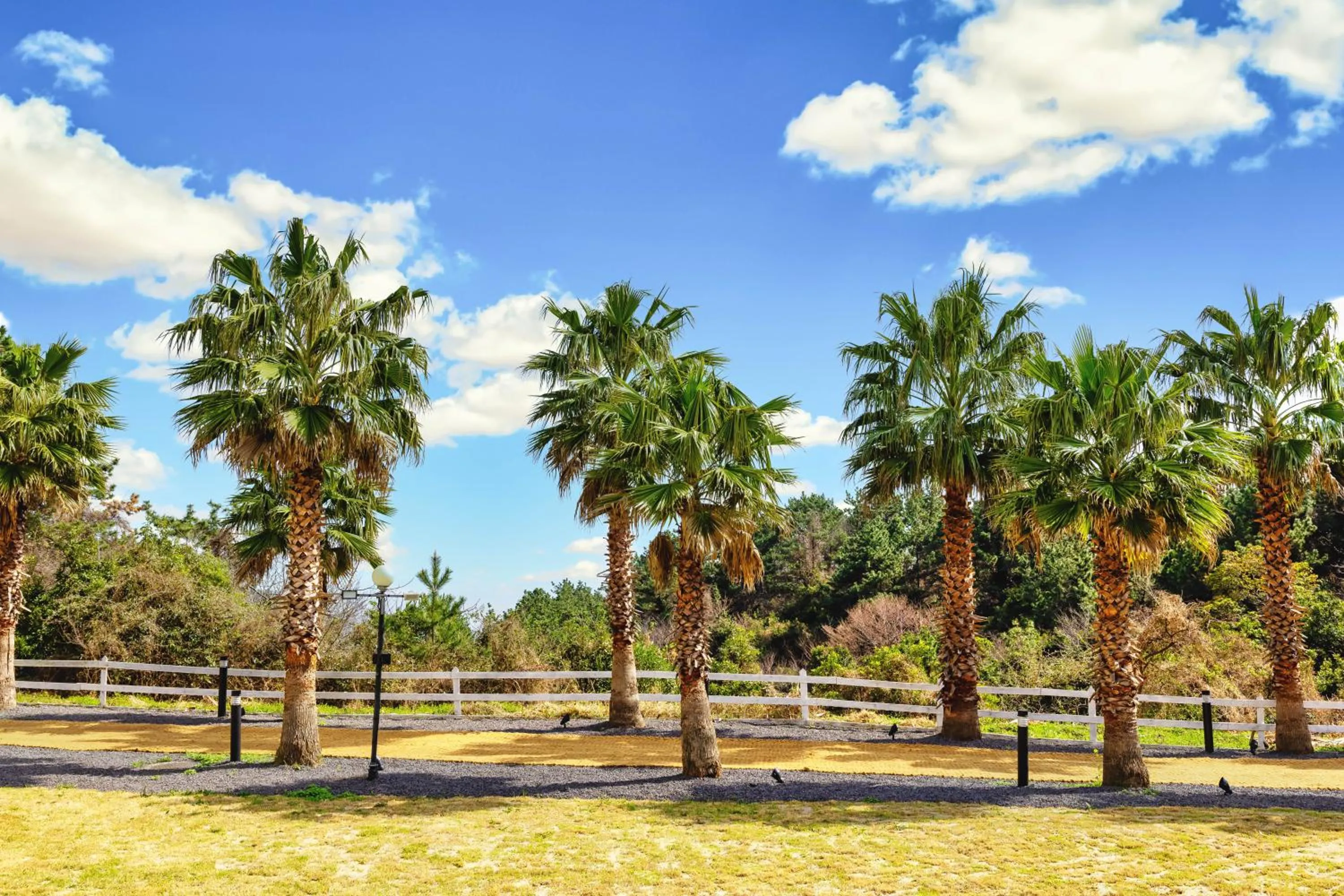Garden in Kensington Resort Jeju Jungmun