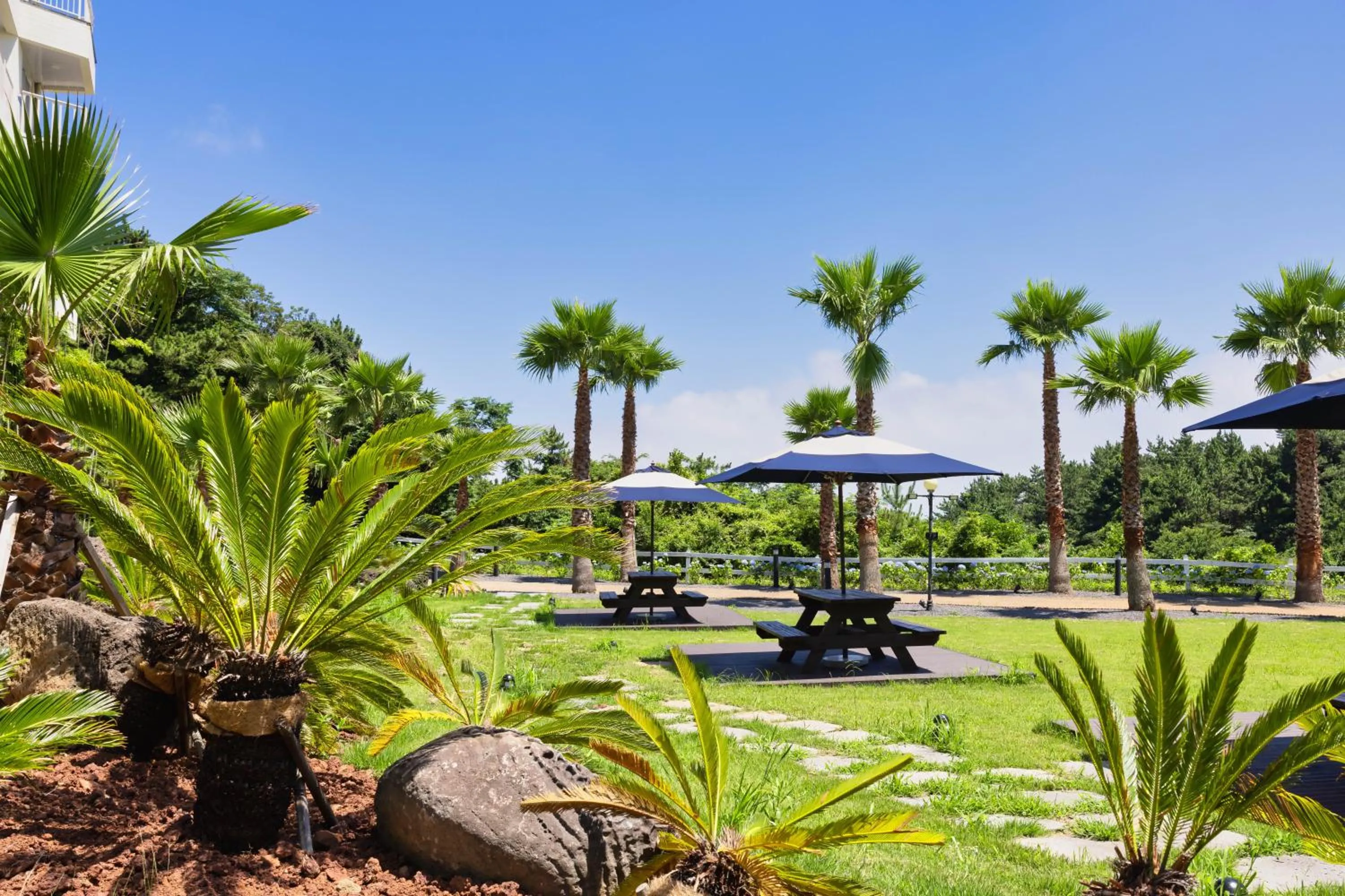 Garden in Kensington Resort Jeju Jungmun