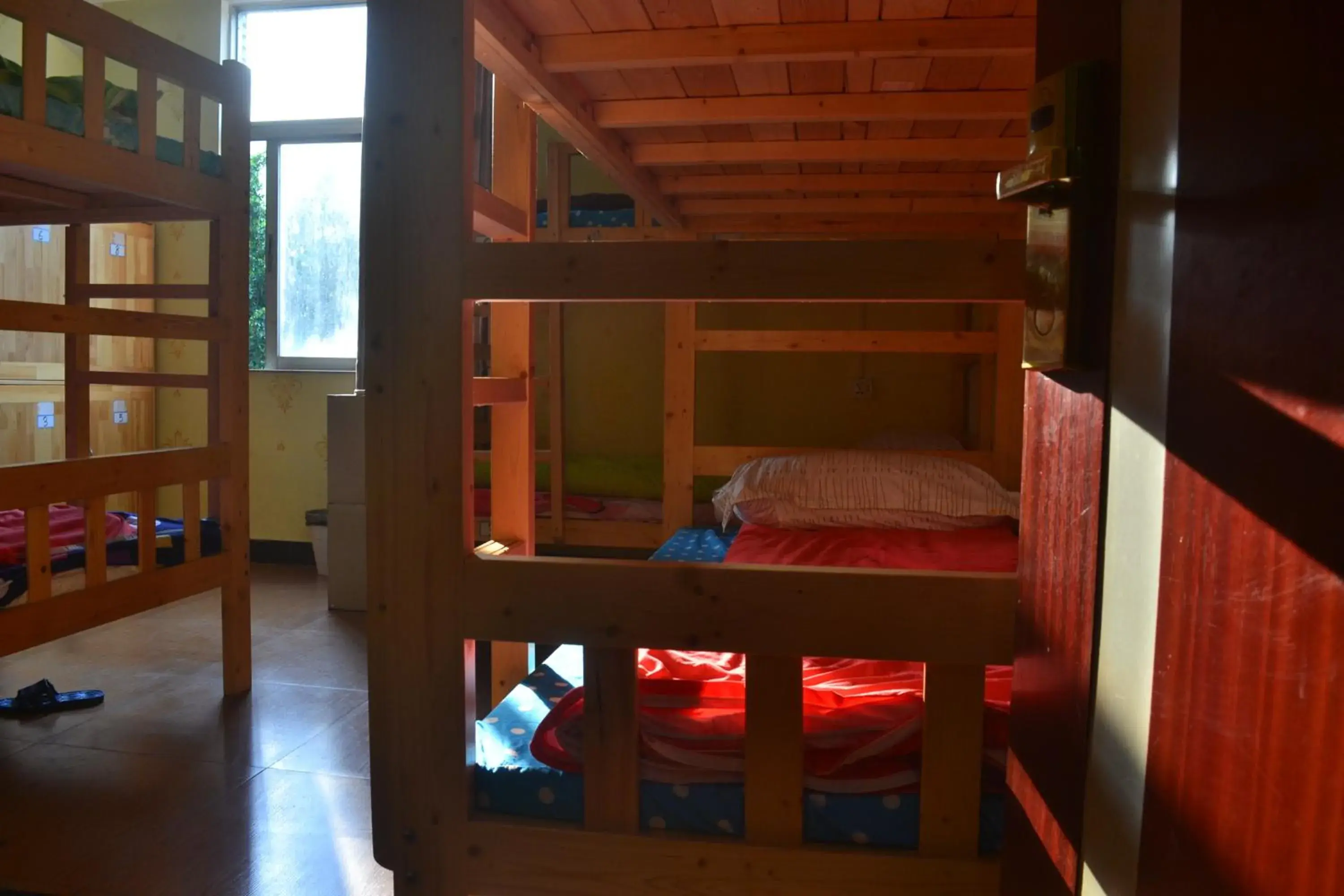 Bed in Female Dormitory Room in Notting Hill Hostel Bed in Female Dormitory Room in Notting Hill Hostel