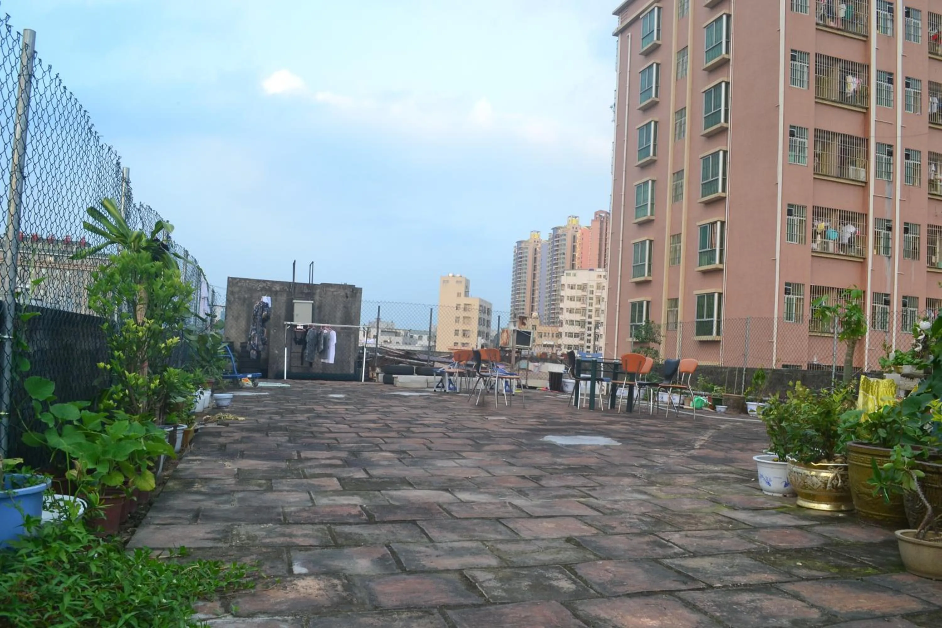 Garden in Notting Hill Hostel