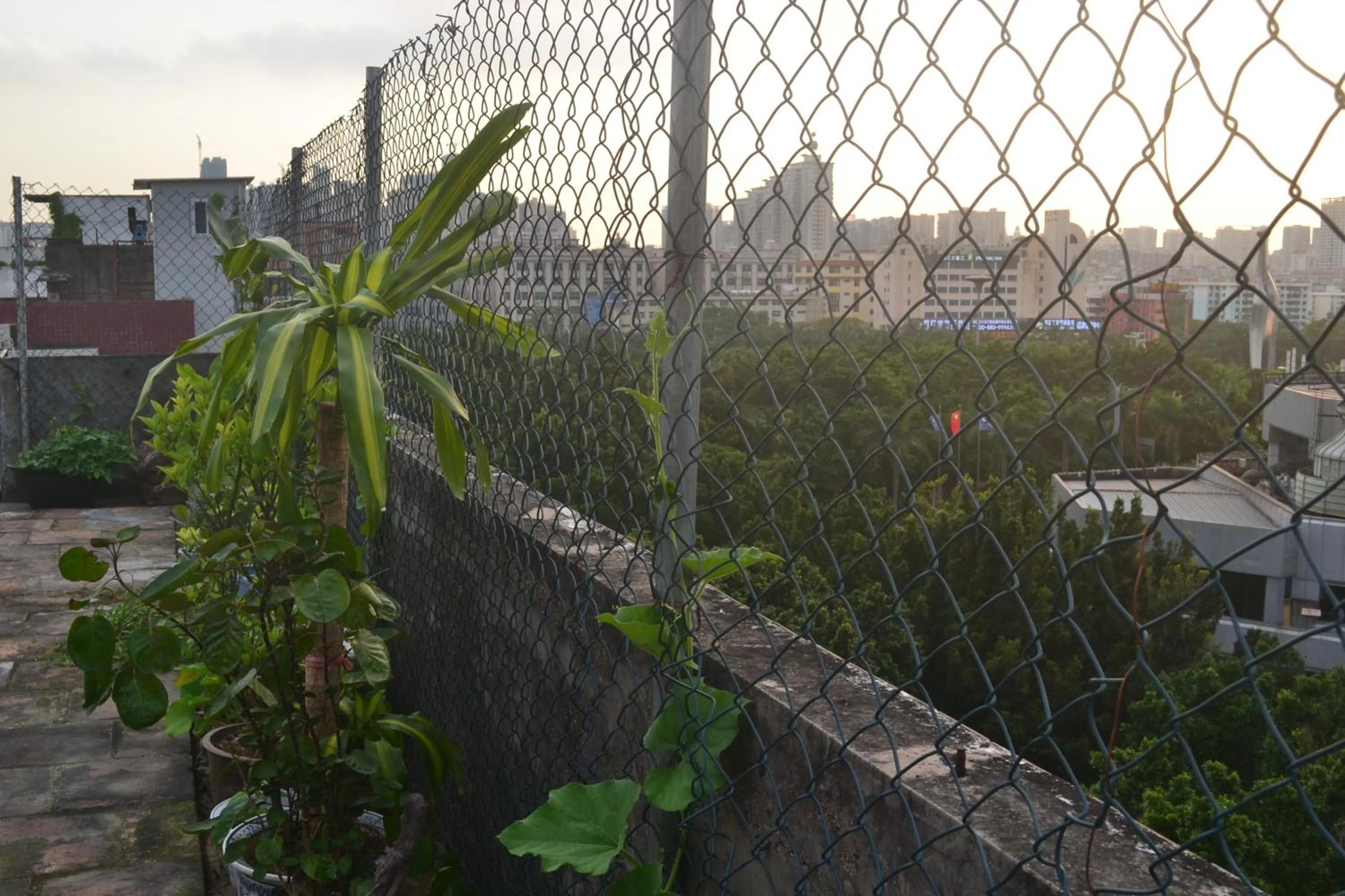 Balcony/Terrace in Notting Hill Hostel