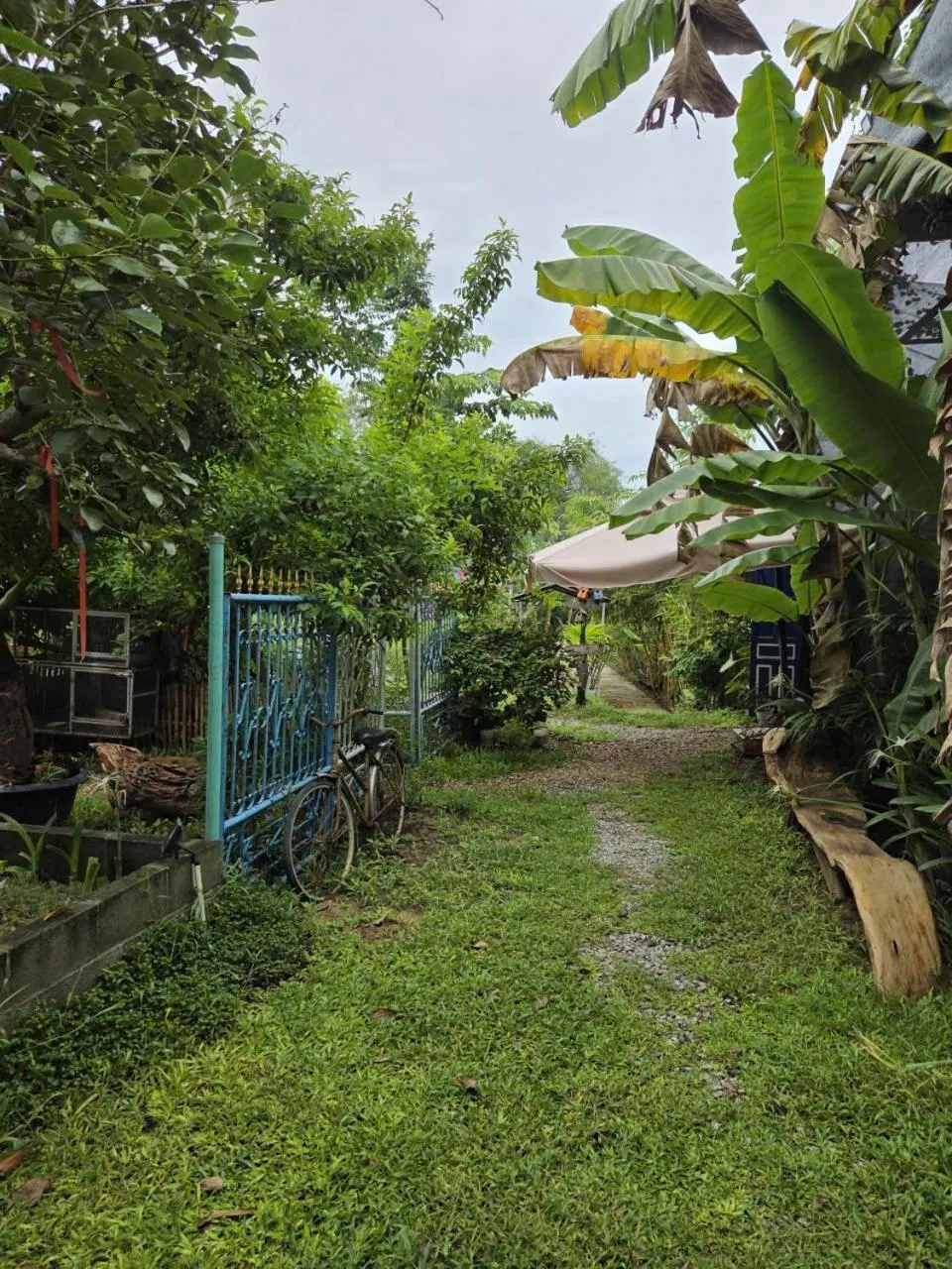 Natural landscape in Memories Hoi An Villa