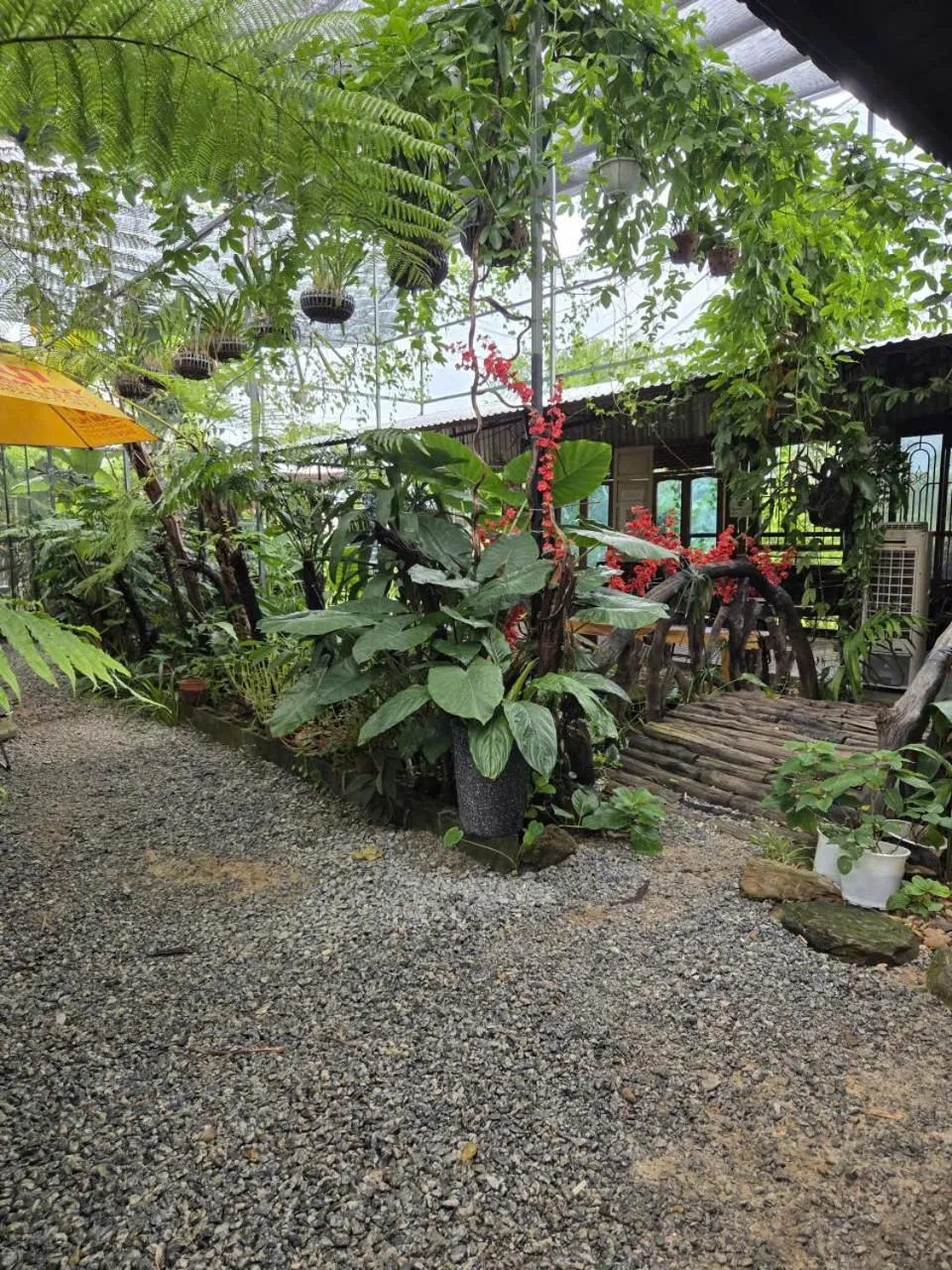 Garden in Memories Hoi An Villa