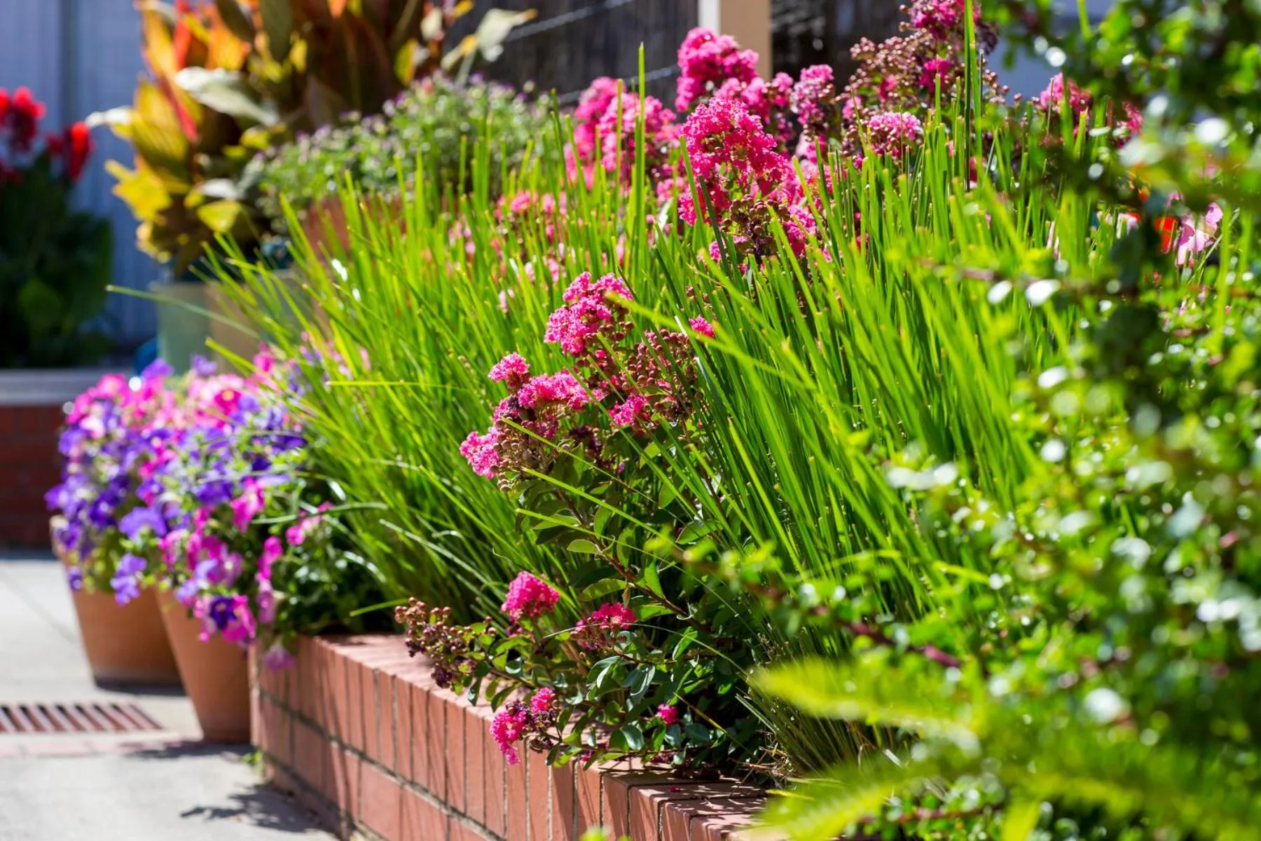 Property building in Yackandandah Central