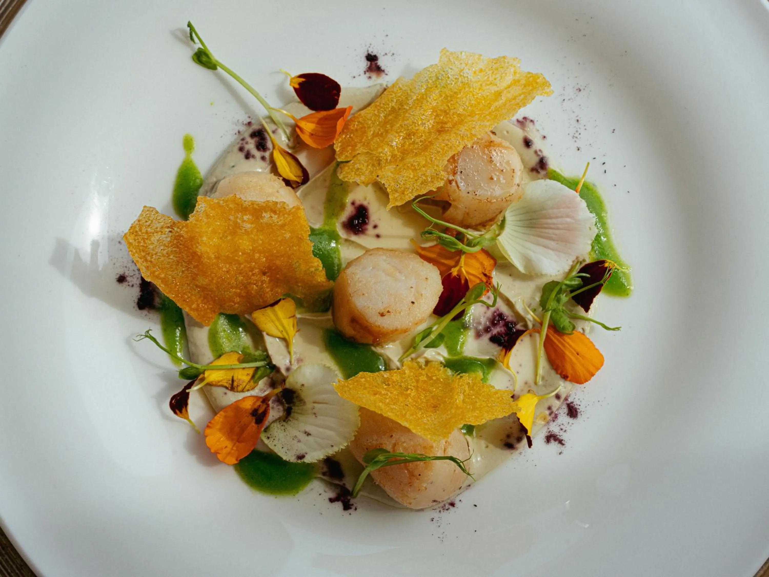 Lunch in Hotel Delle Nazioni