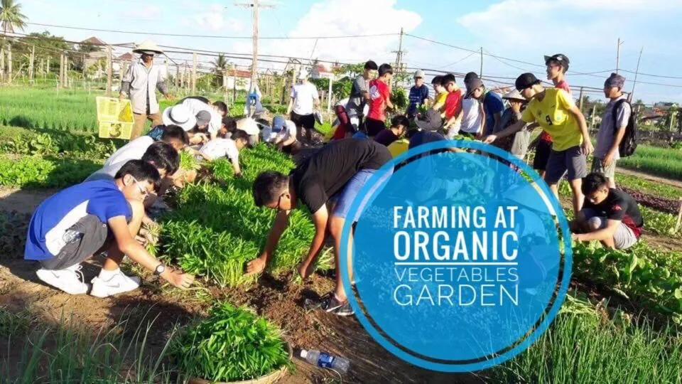 The Moon River Homestay & Villa