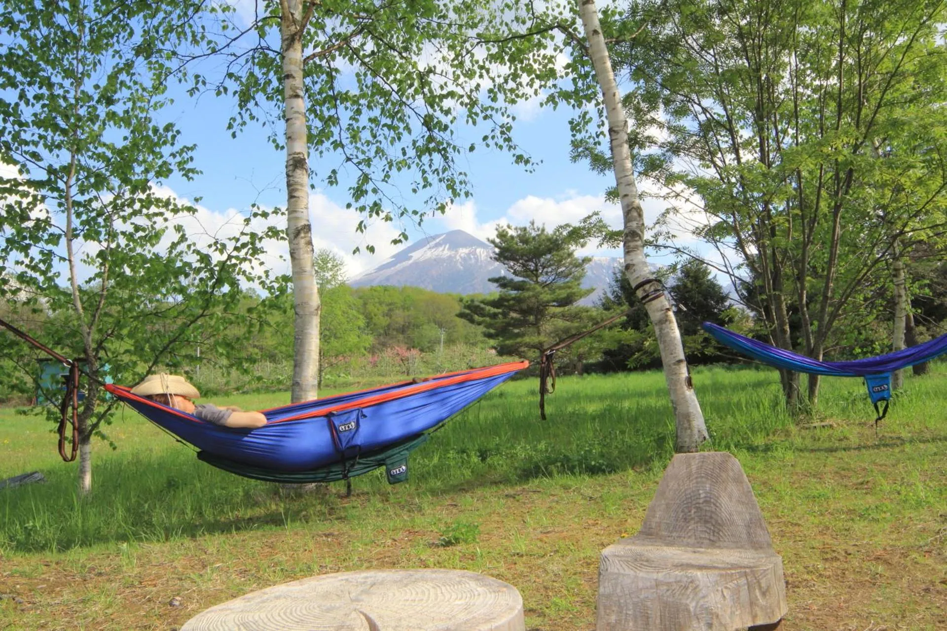 Balcony/Terrace in Lodge Clubman