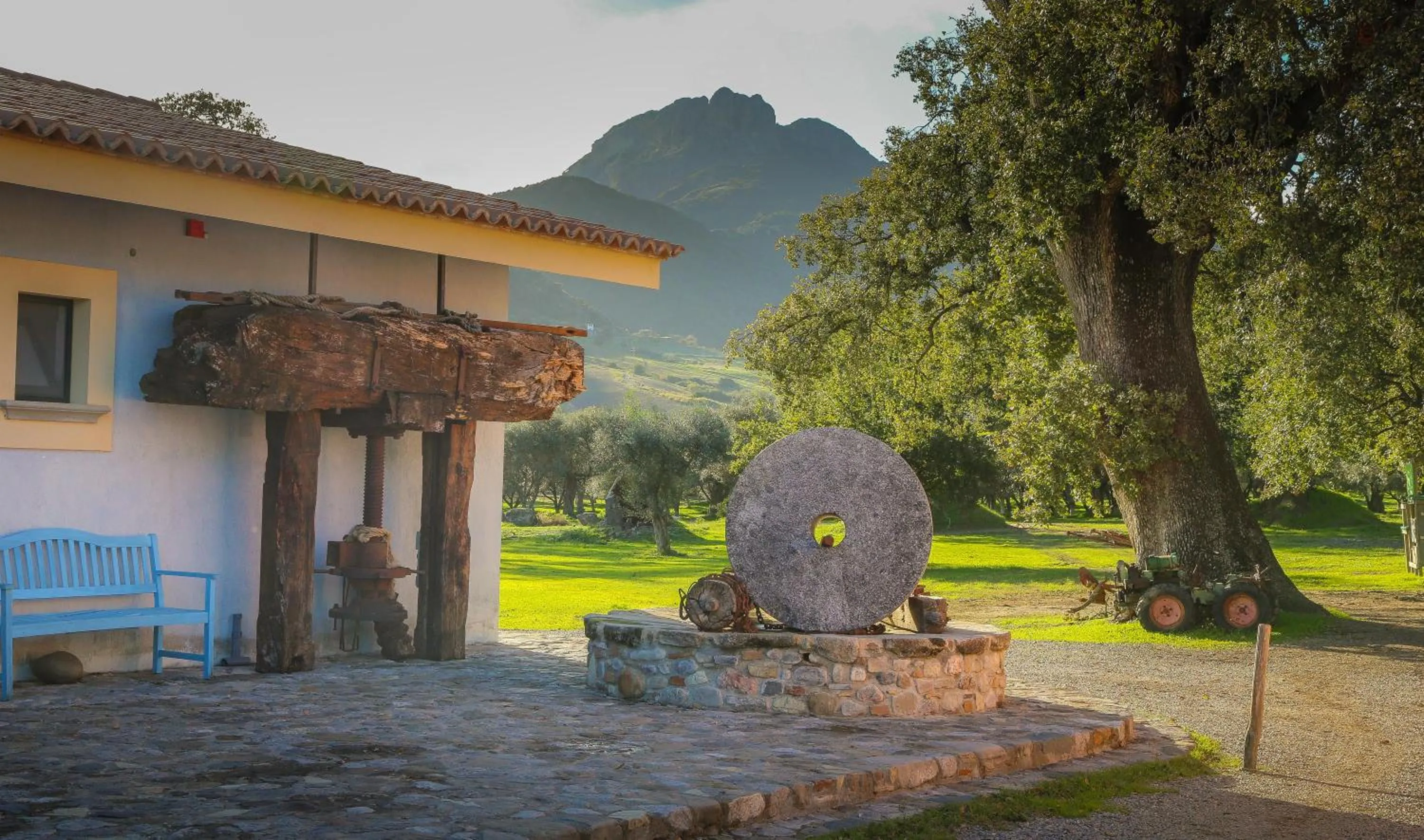 Spring in Barone GR Macrì Agriturismo Modi