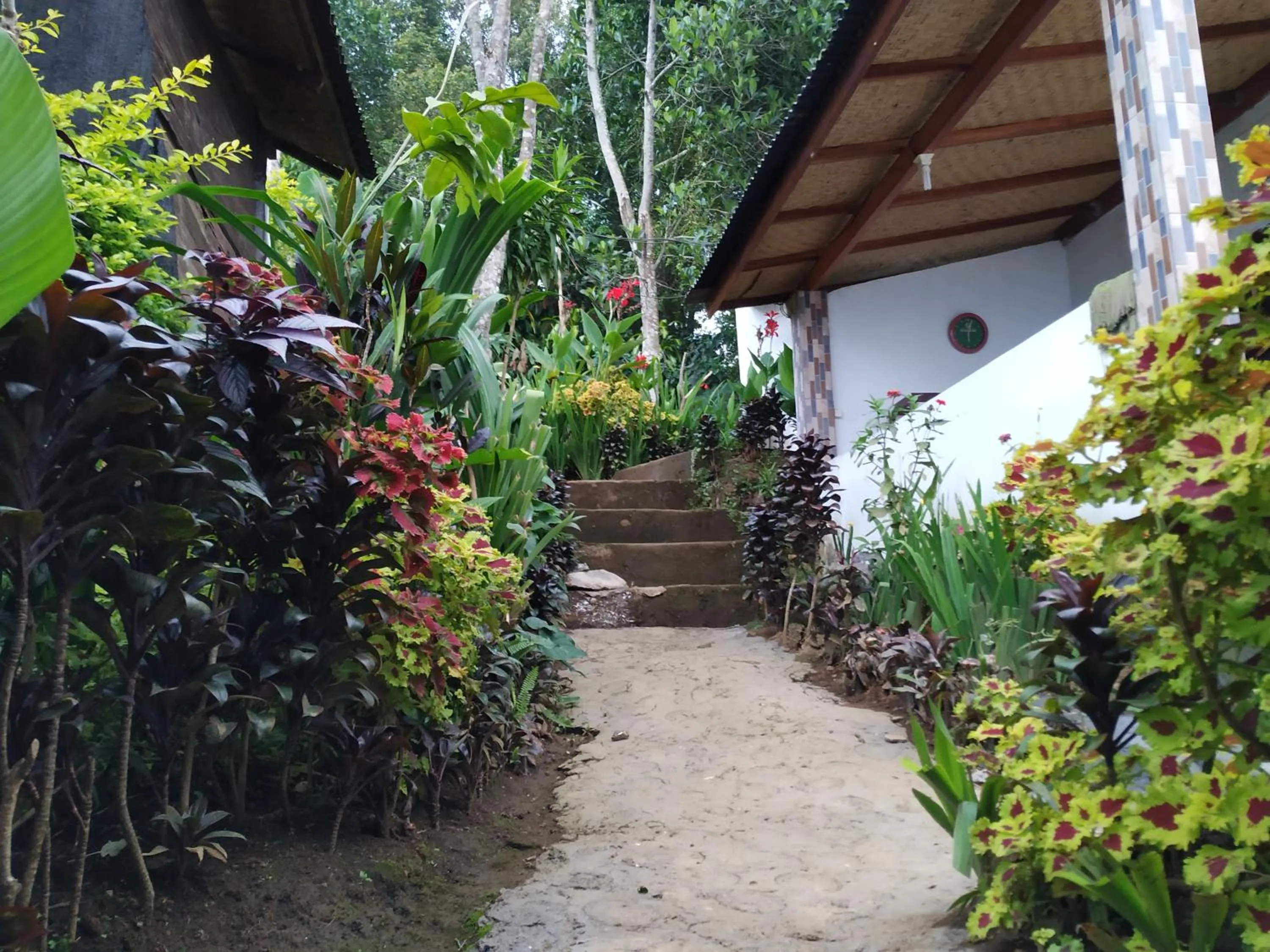 Garden in Puri Sunset Homestay