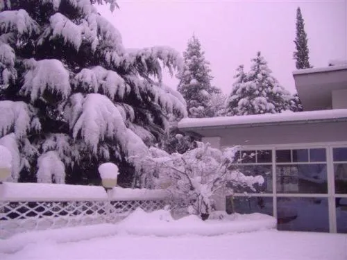 Facade/entrance in Hotel Annabell