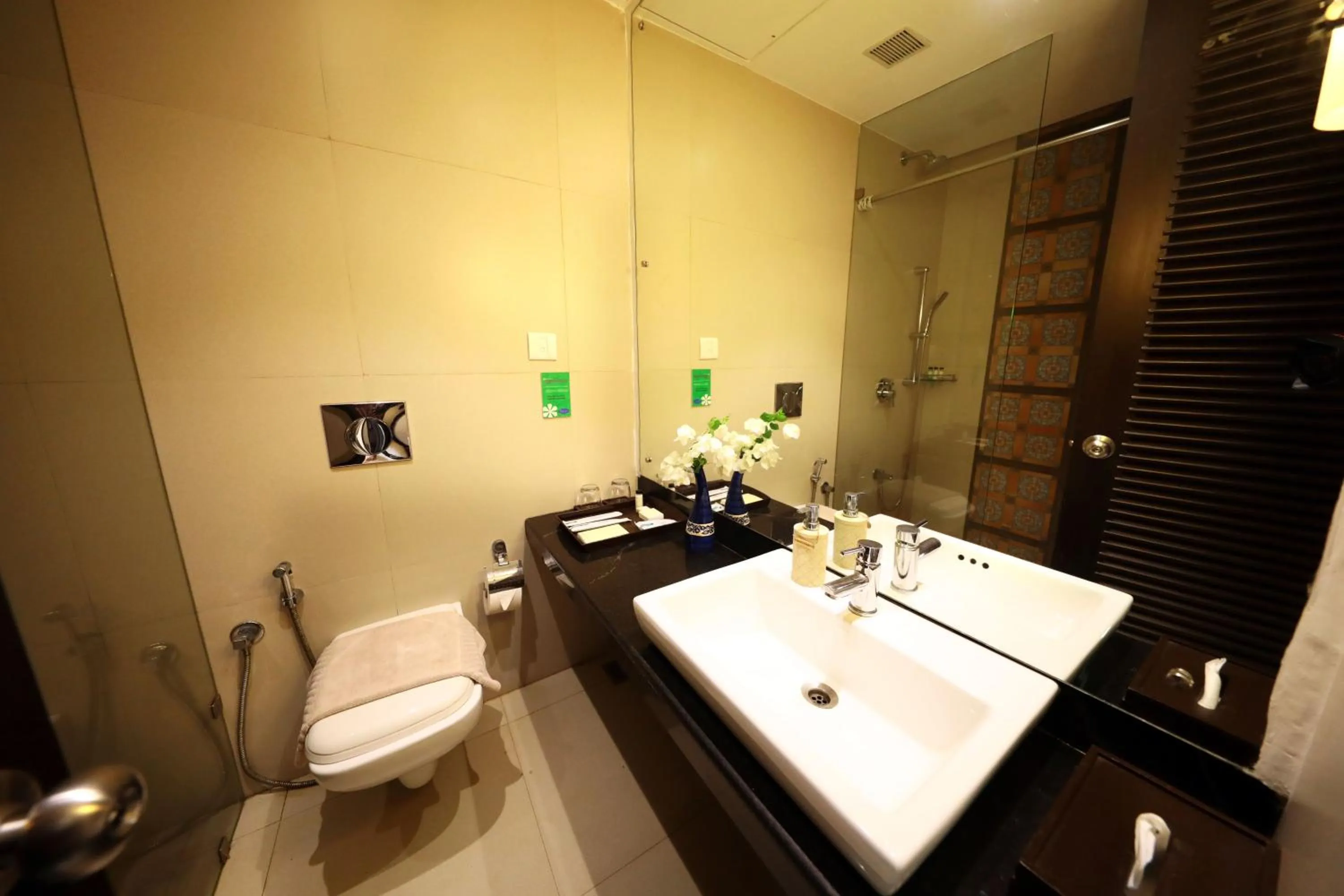 Toilet in Blue Ocean The Fern Resort & Spa Ganpatipule