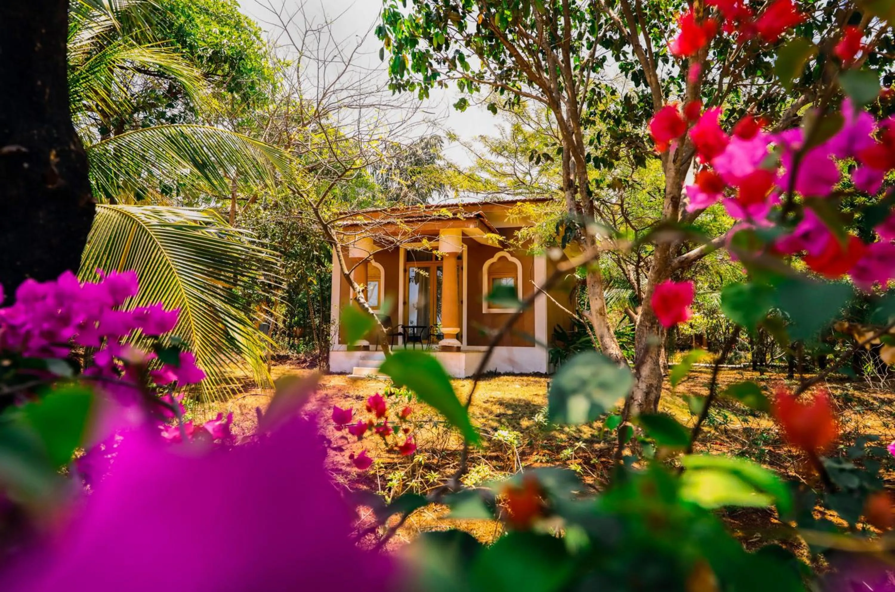 Garden in Blue Ocean The Fern Resort & Spa Ganpatipule
