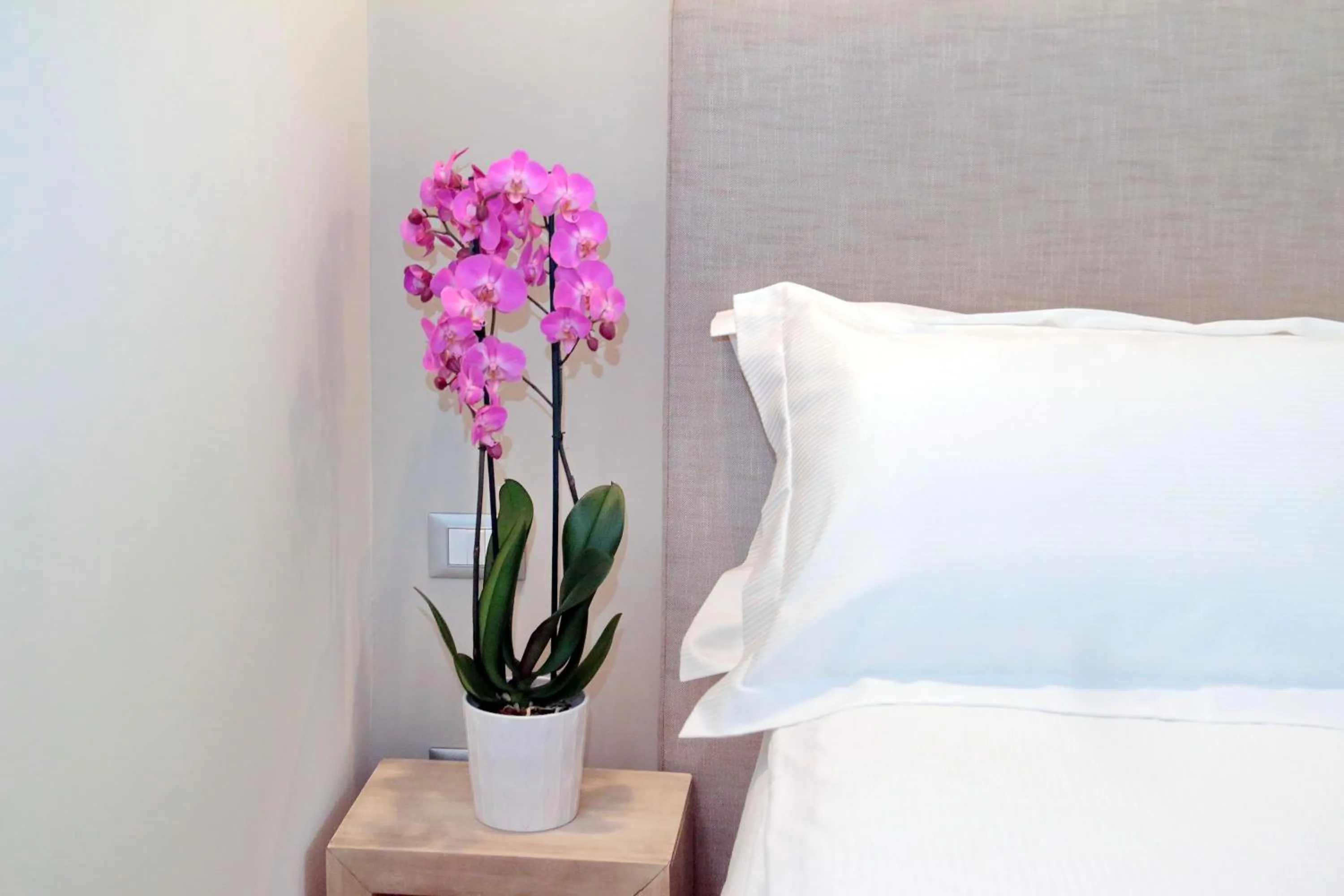 Bed in Cancelleriadieci