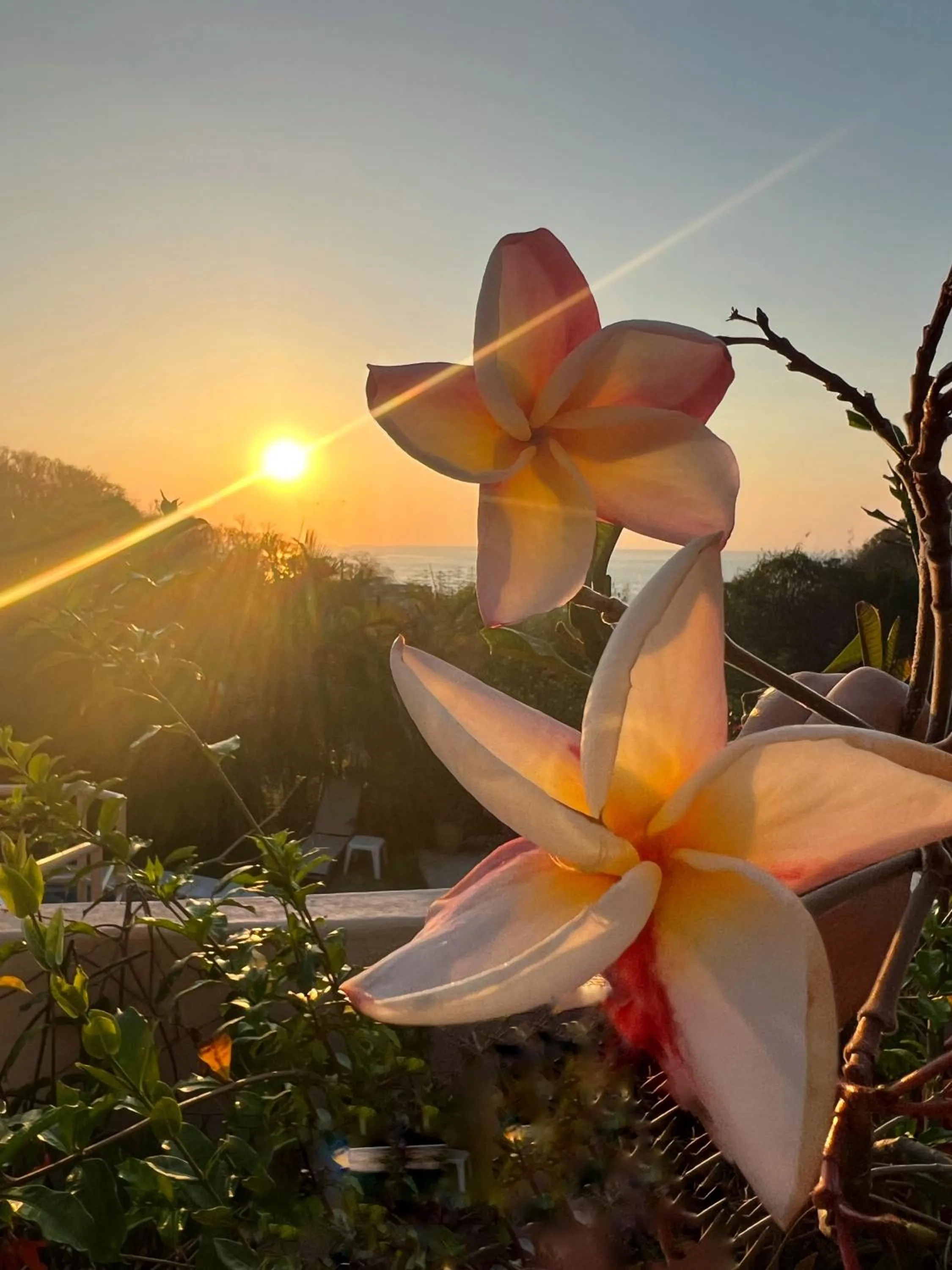 View (from property/room) in Agua Azul la Villa