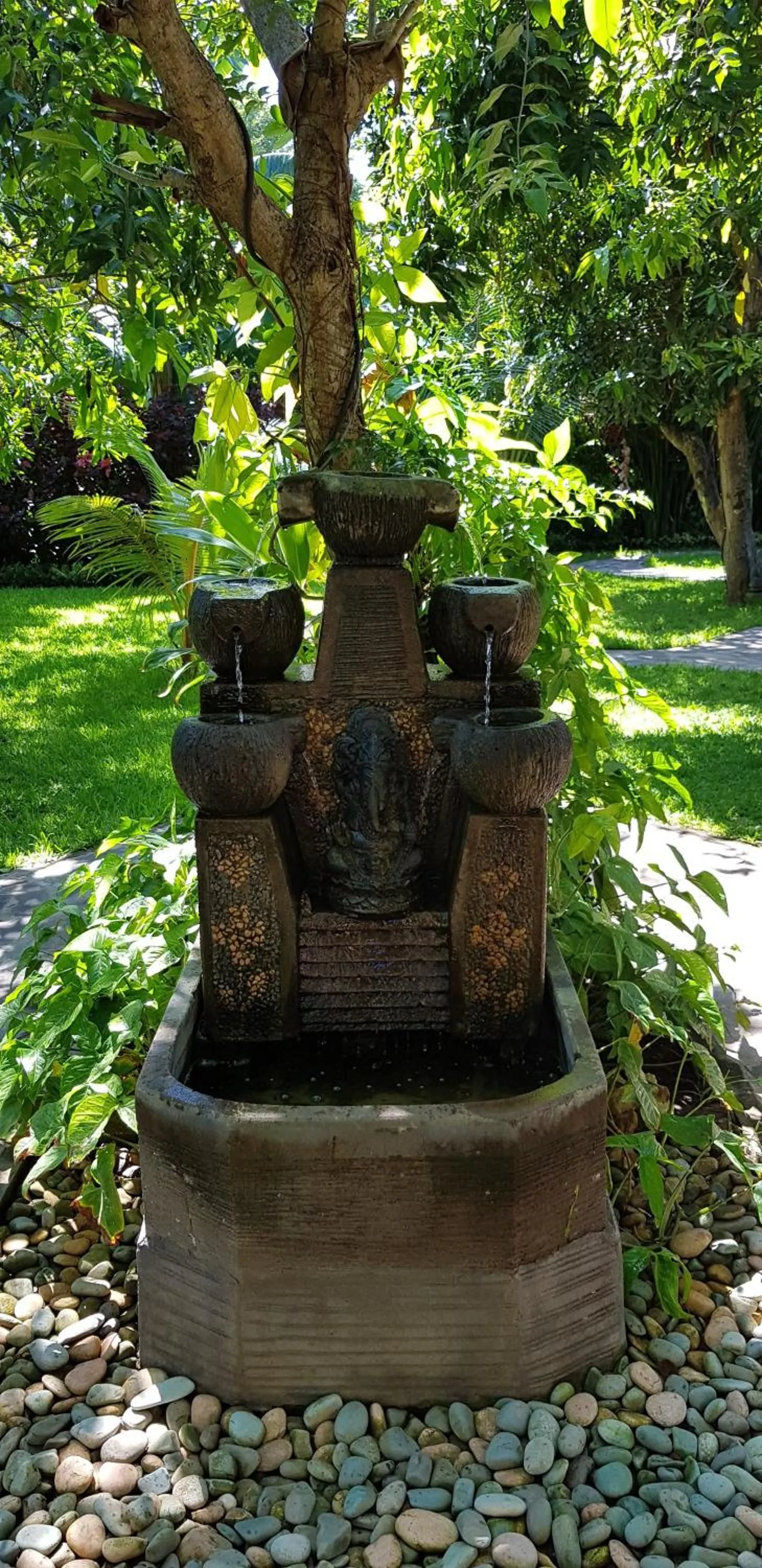 Garden in Mango Tree Inn