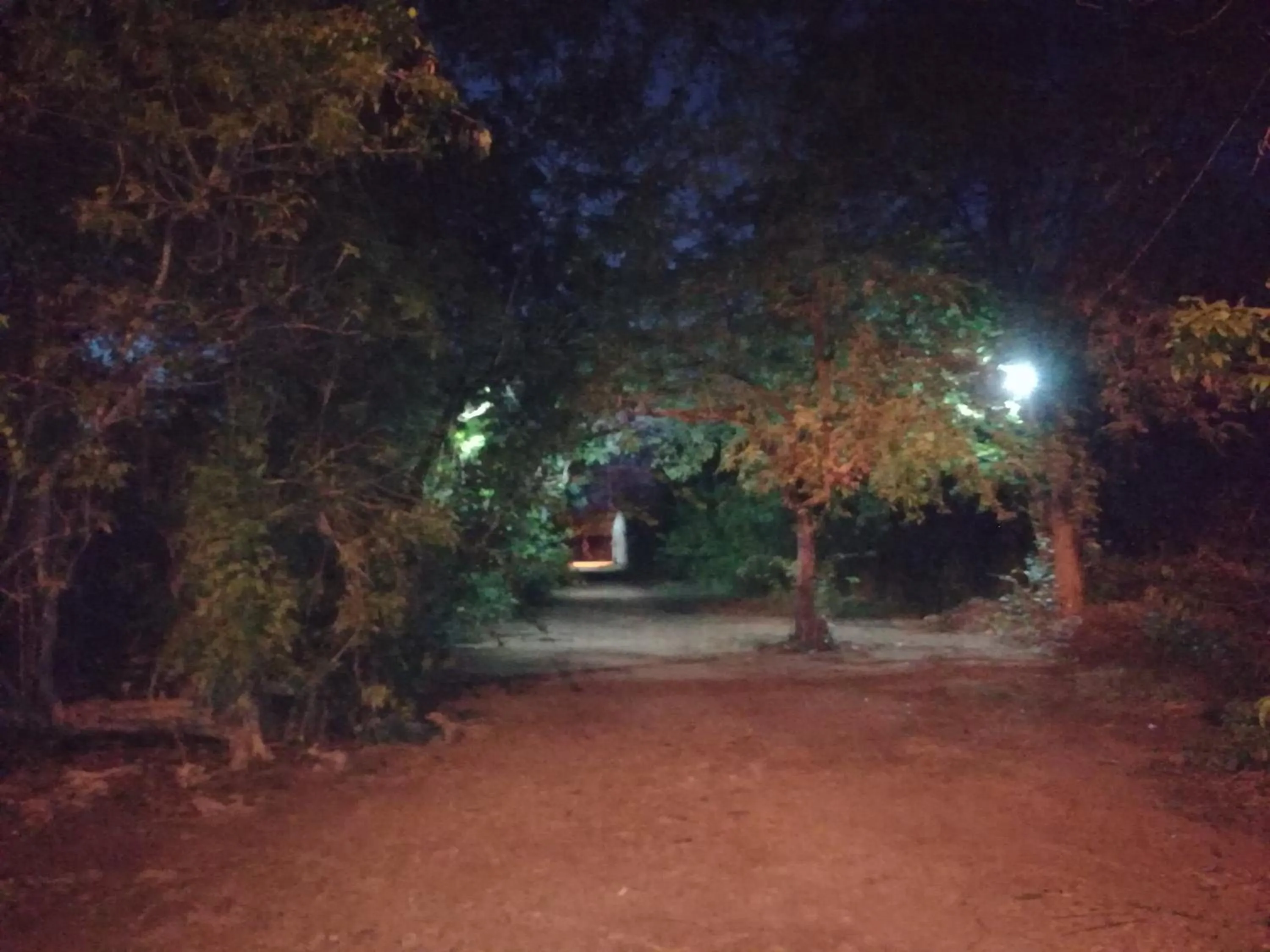 Night in Casa Royal Palm Inn