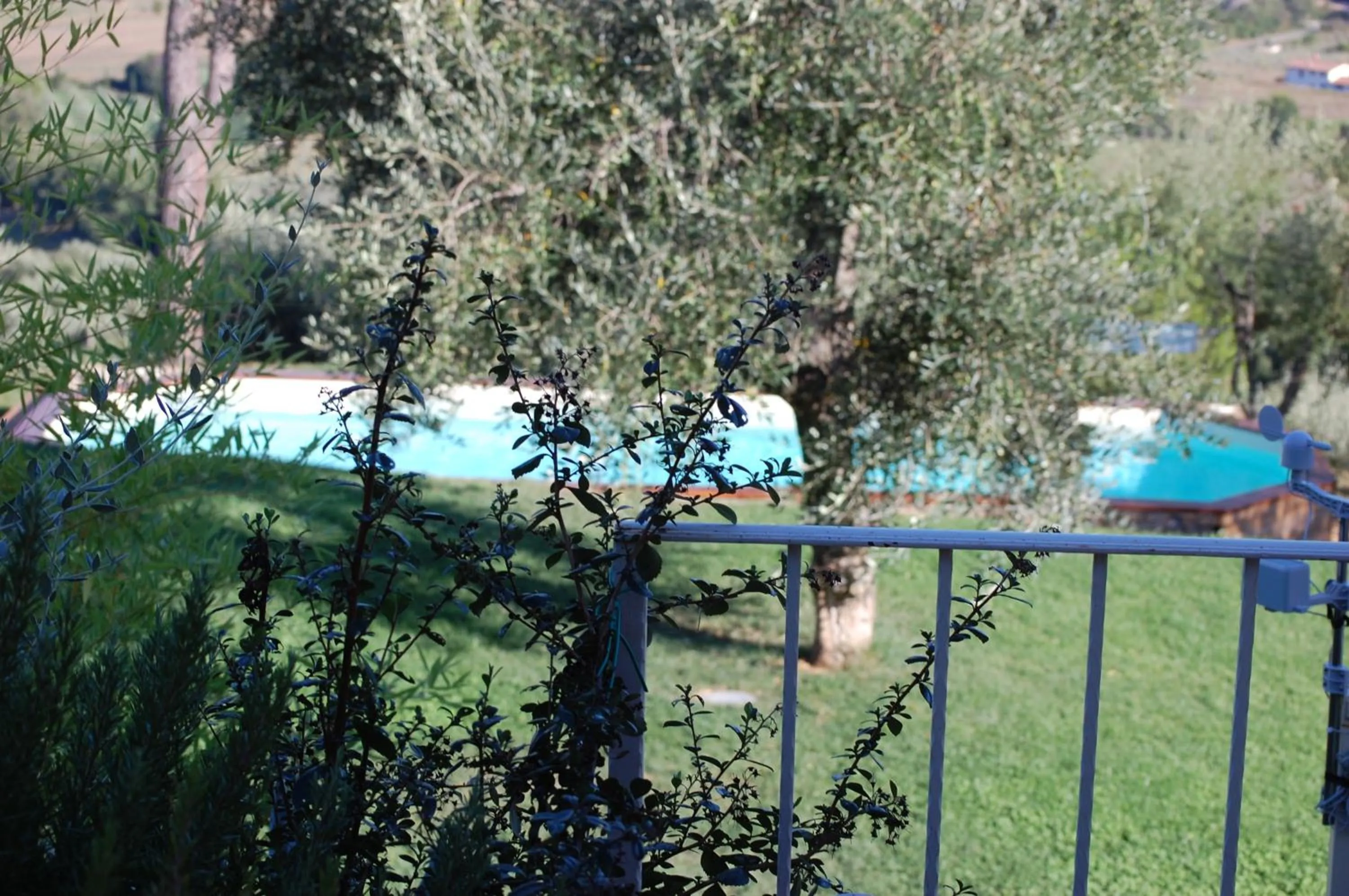 Garden view in Il Pino