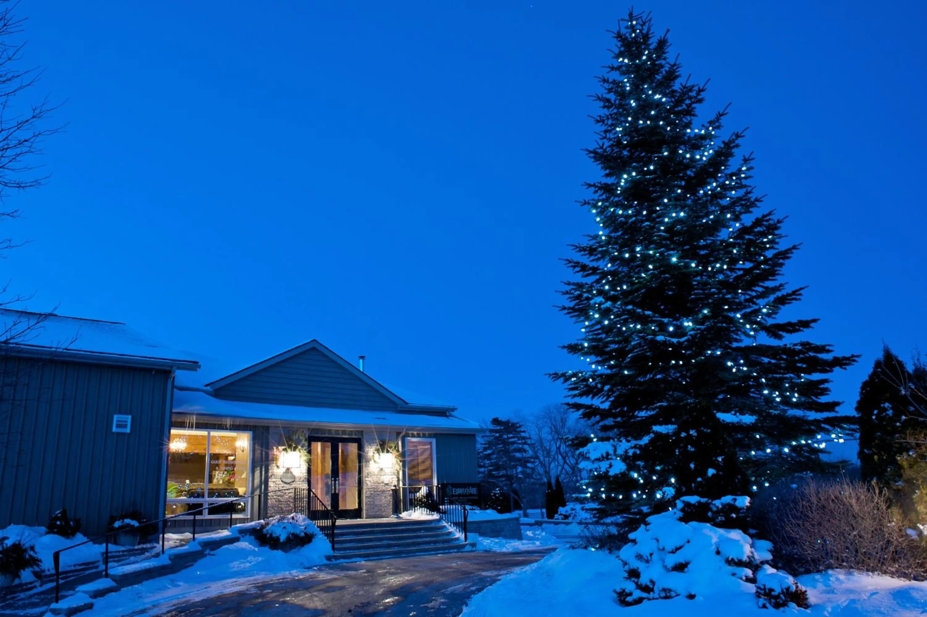 Winter in Eganridge Resort, Golf Club & Spa