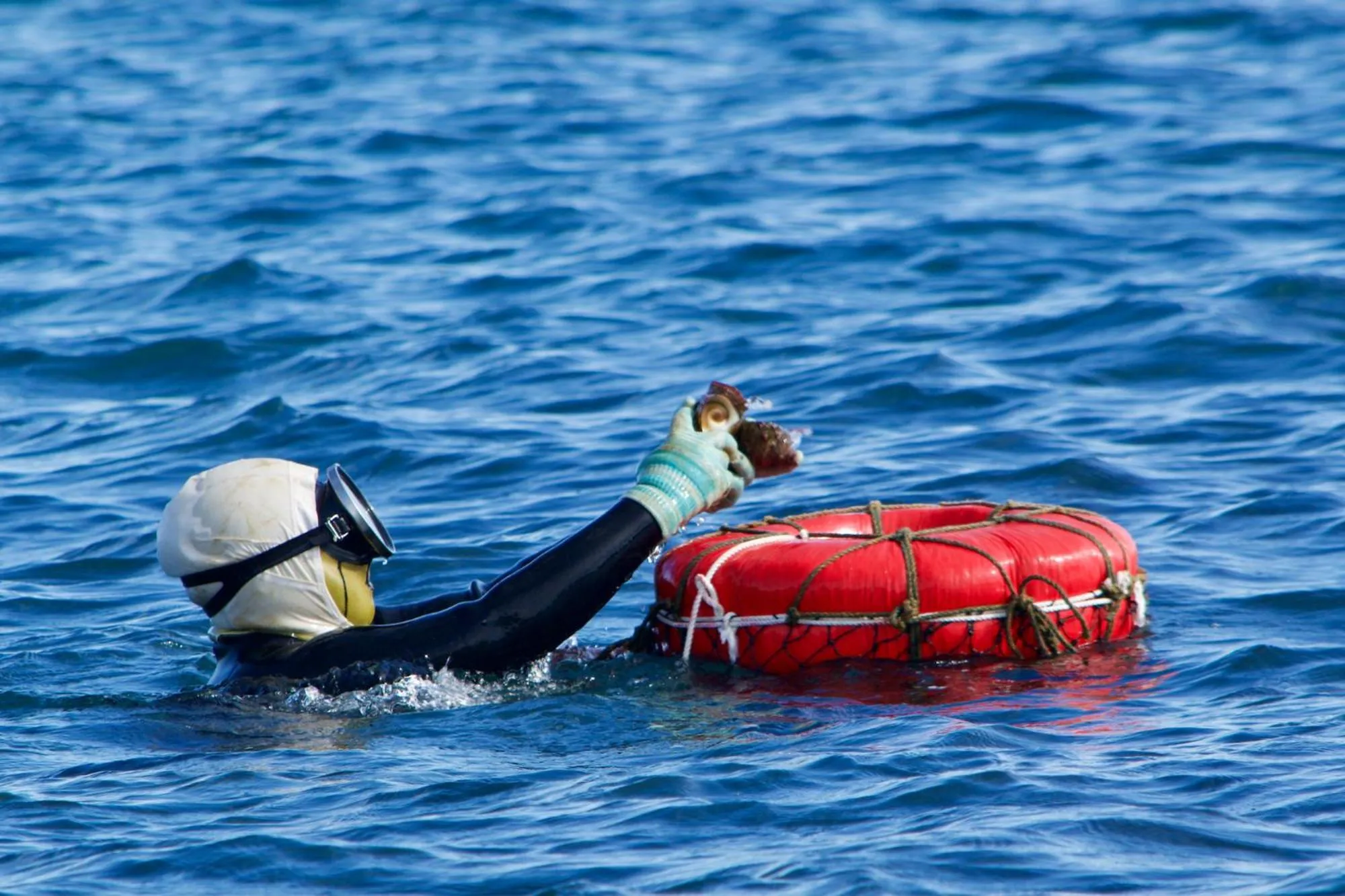 Natural landscape in Hamanomiyabitei Ichii