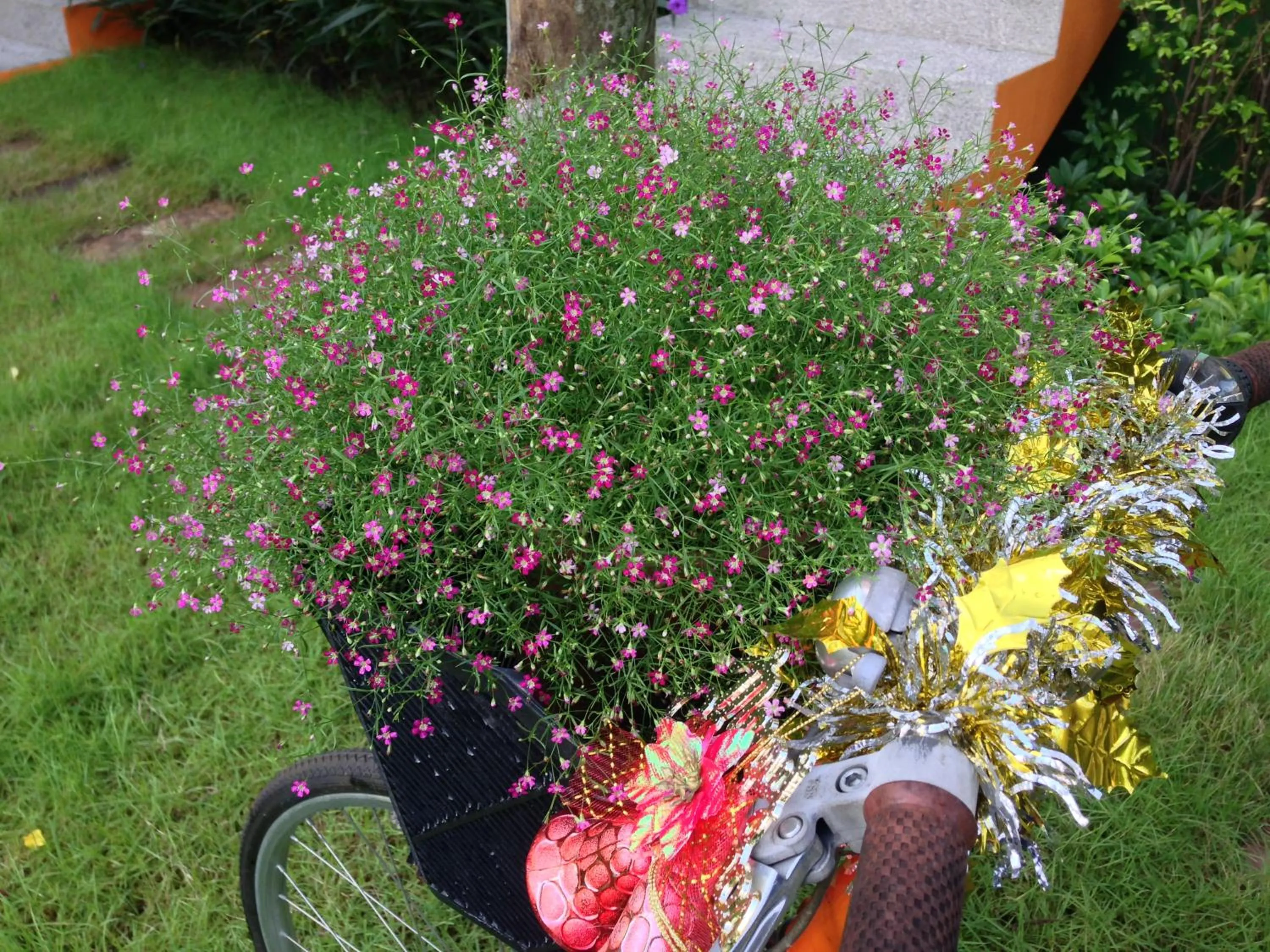Garden in Samui Poshtel