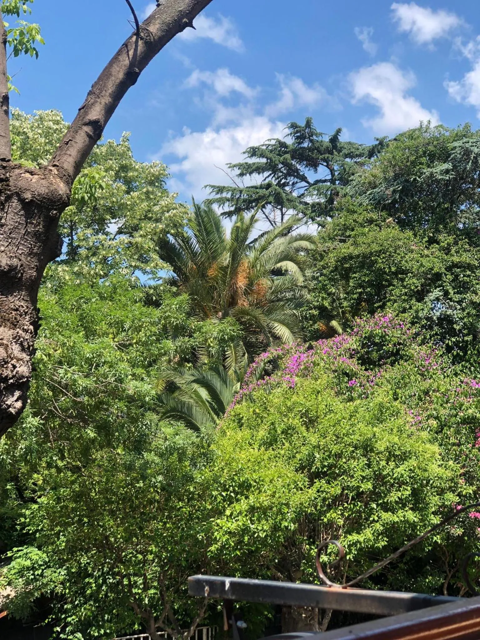 View (from property/room) in Nizam Butik Otel Büyükada