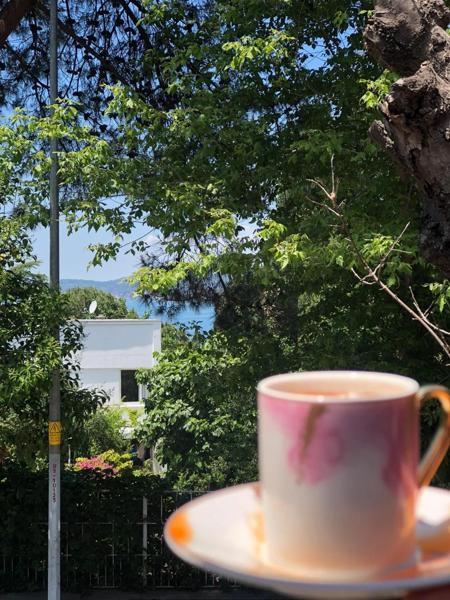 Sea view in Nizam Butik Otel Büyükada
