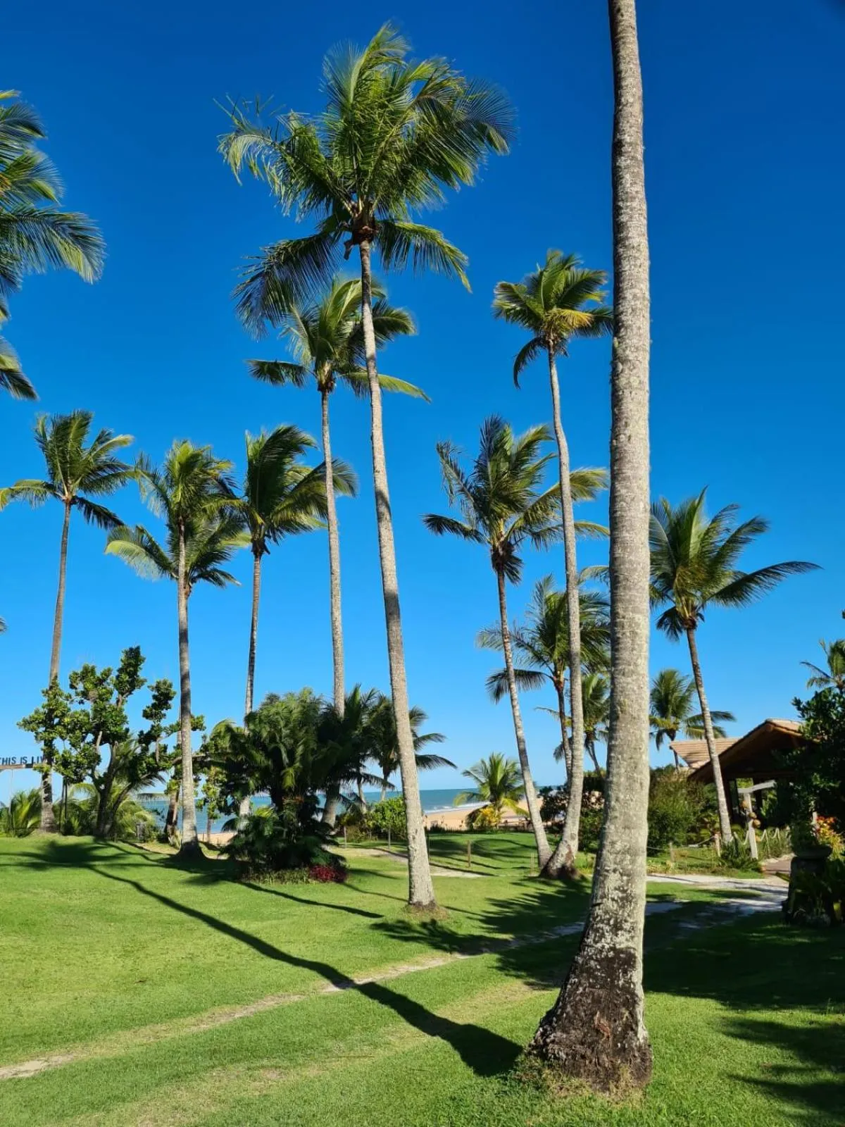 Garden view in Rio Da Barra Villa Hotel
