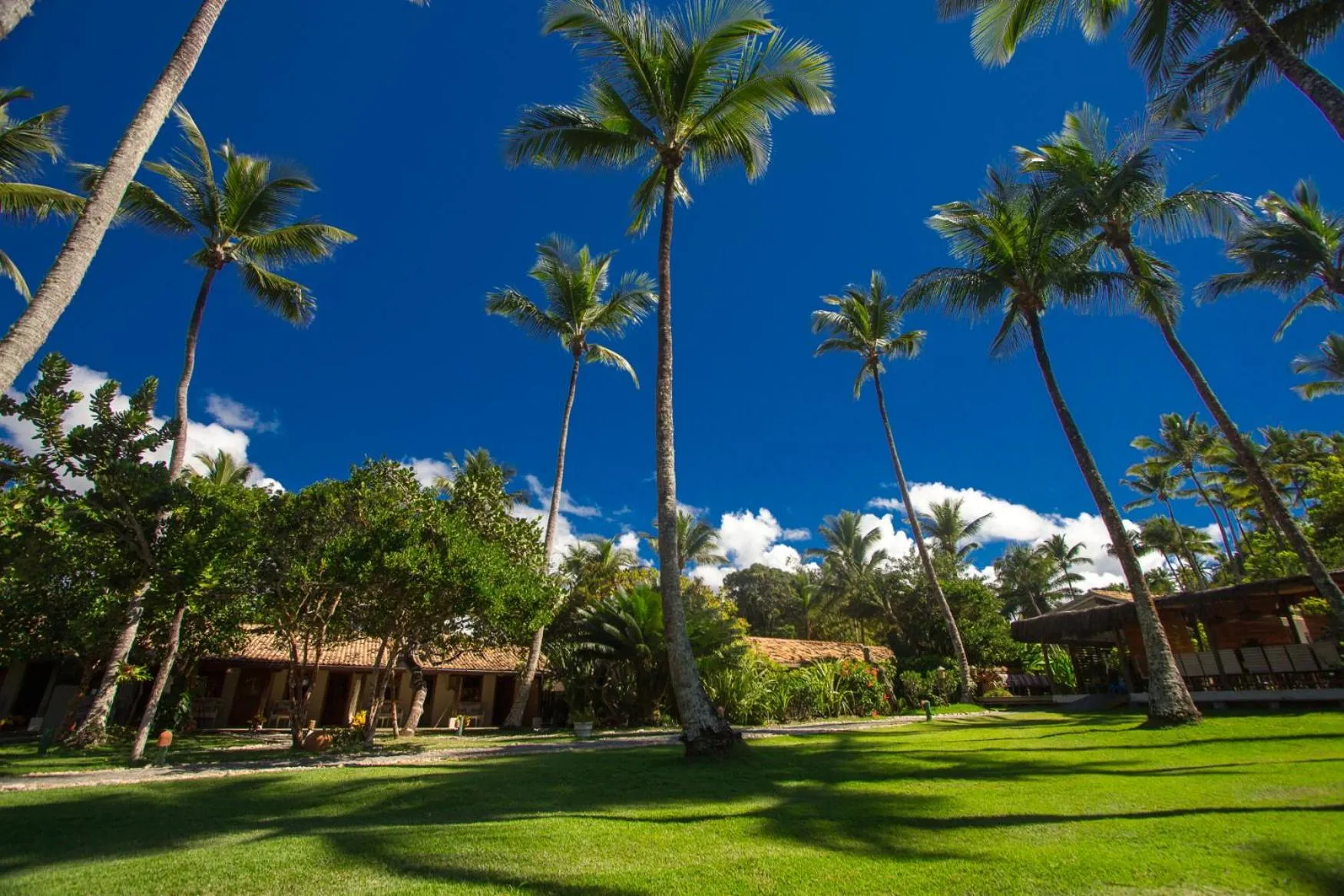Garden in Rio Da Barra Villa Hotel