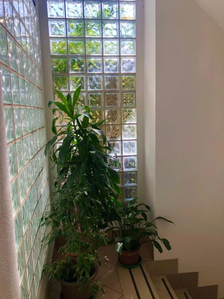 View (from property/room) in Hotel Arcadia