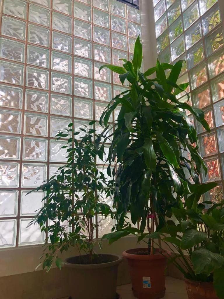 View (from property/room) in Hotel Arcadia