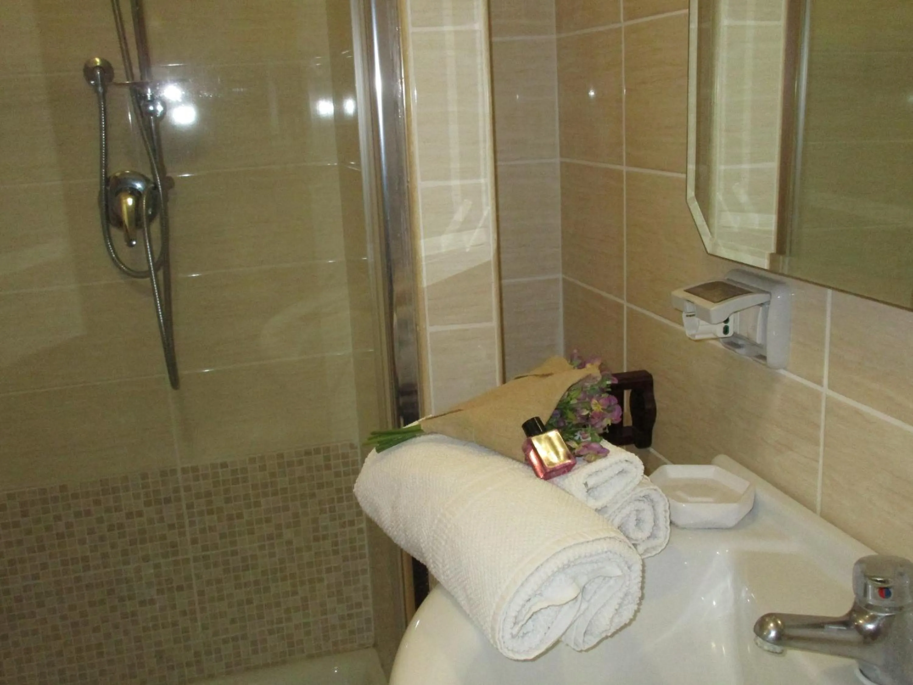 Bathroom in B&B Santa Sofia